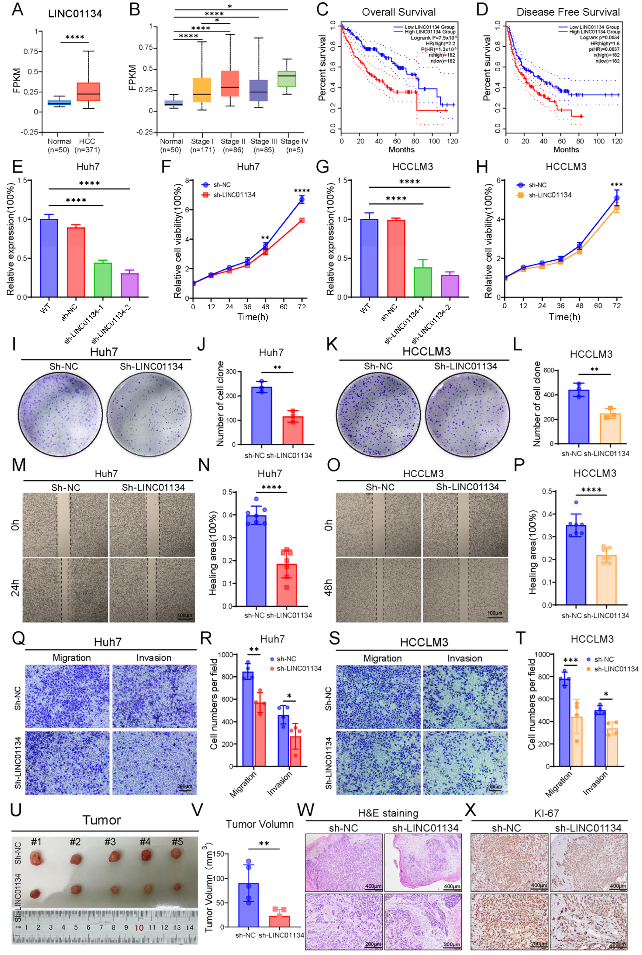 Pharmaceuticals 18 01691 g006