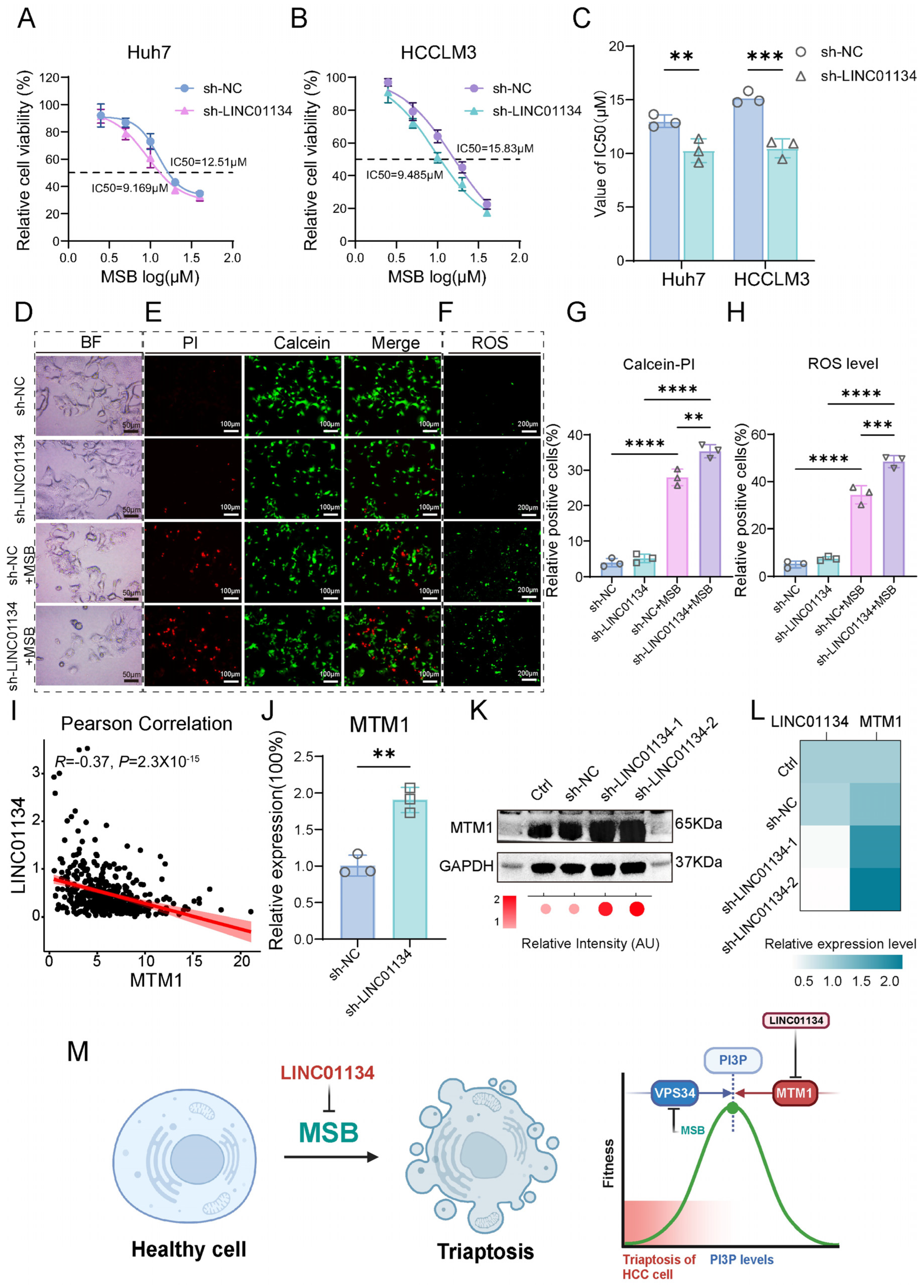 Pharmaceuticals 18 01691 g007
