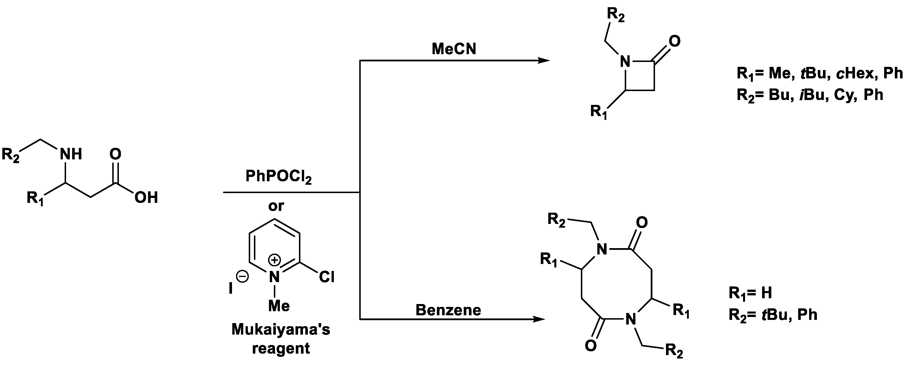 Pharmaceuticals 18 01692 sch047