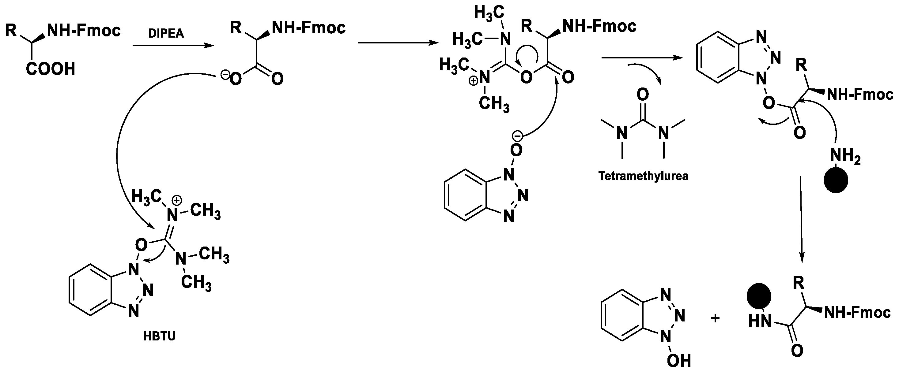 Pharmaceuticals 18 01692 sch053