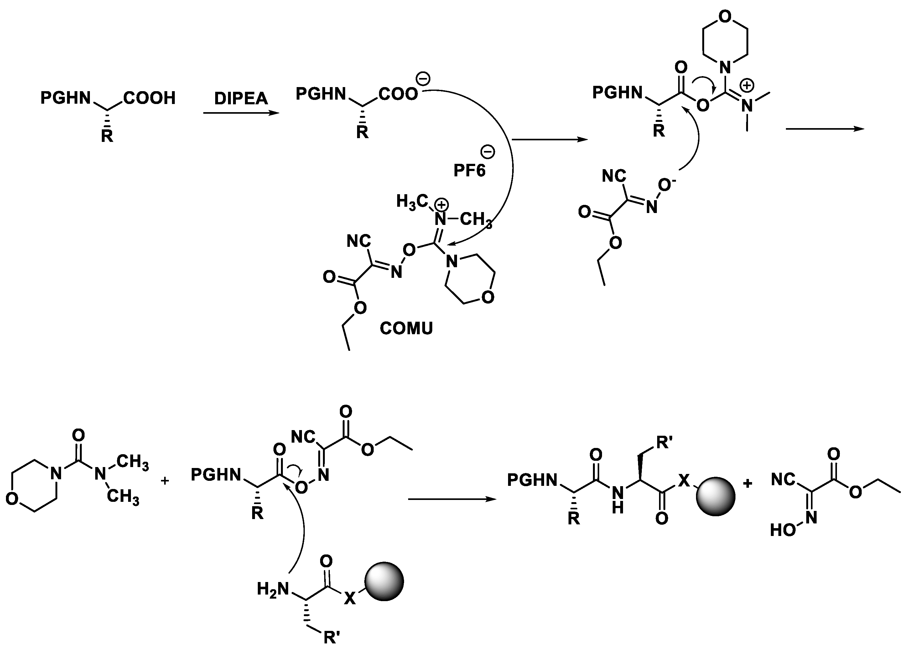 Pharmaceuticals 18 01692 sch054