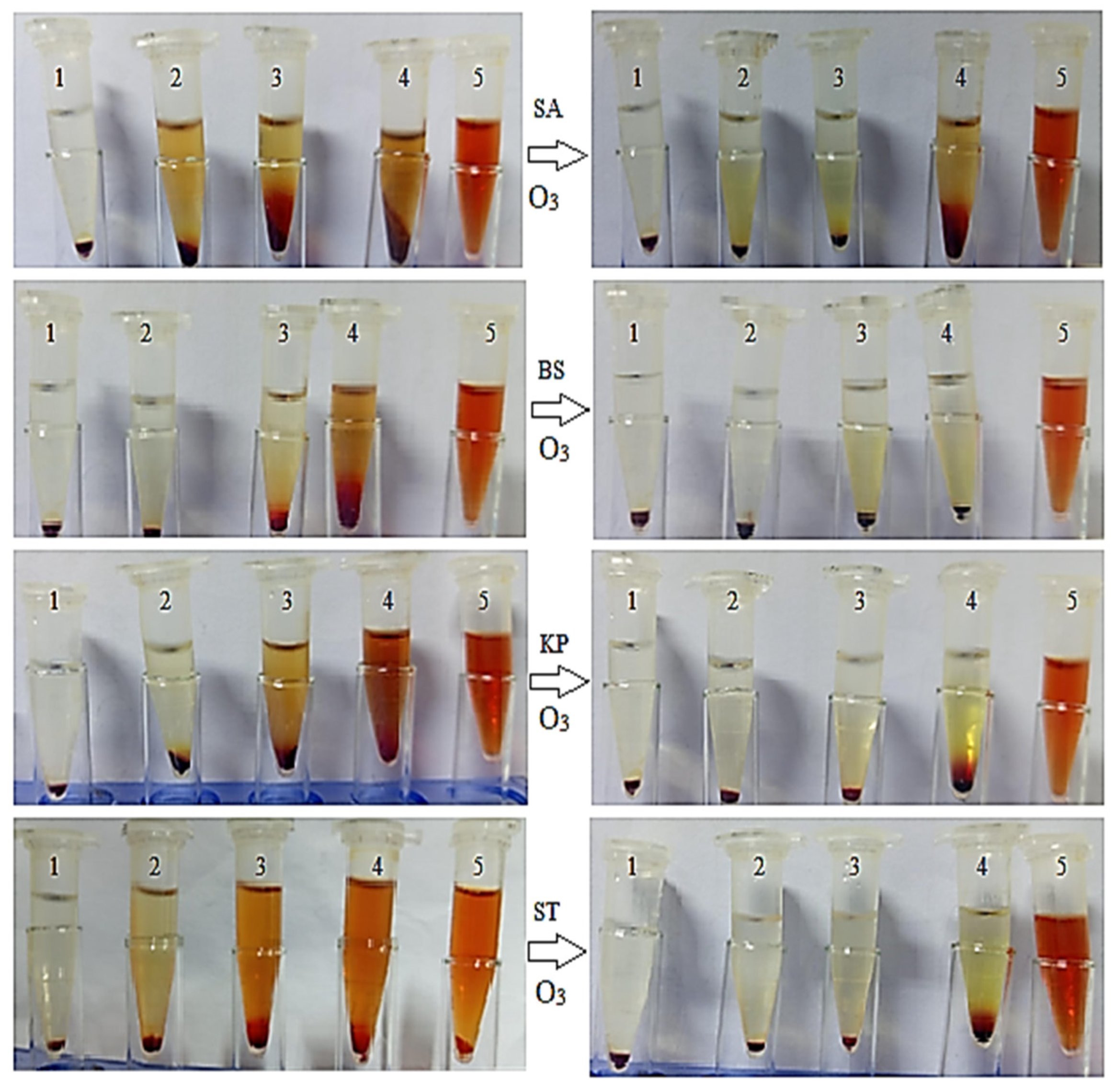 Pharmaceuticals 18 01694 g004