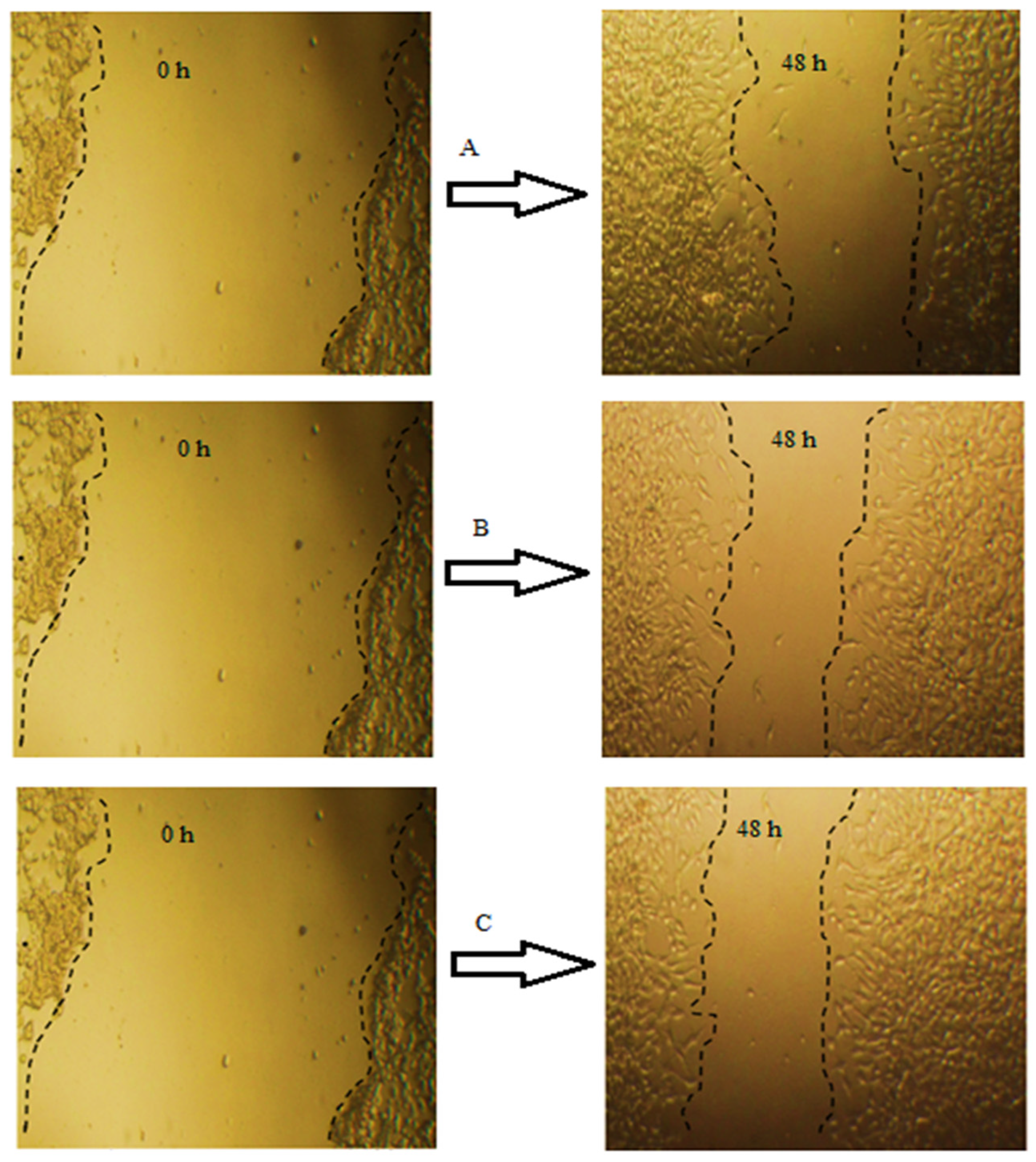 Pharmaceuticals 18 01694 g006