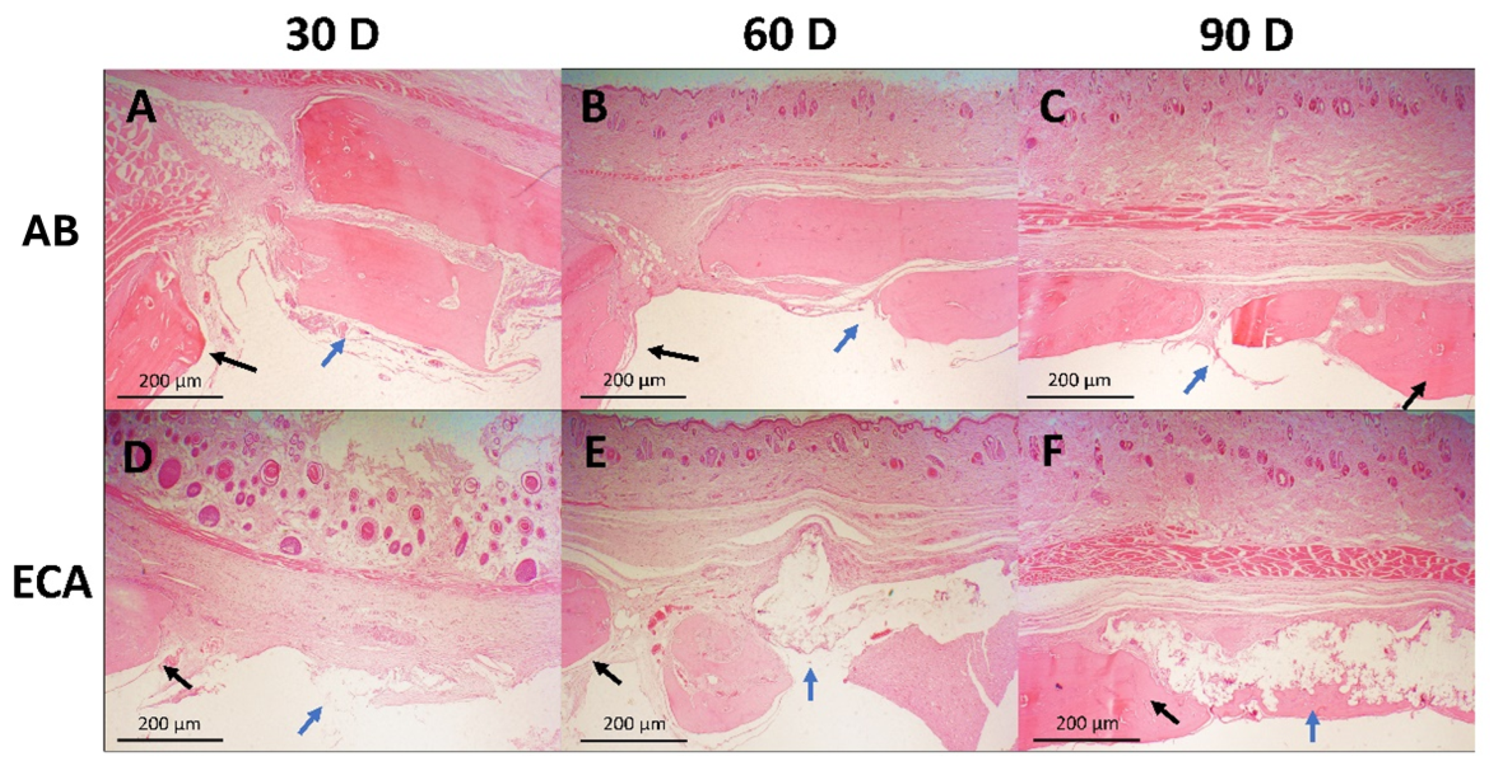 Pharmaceuticals 18 01695 g003