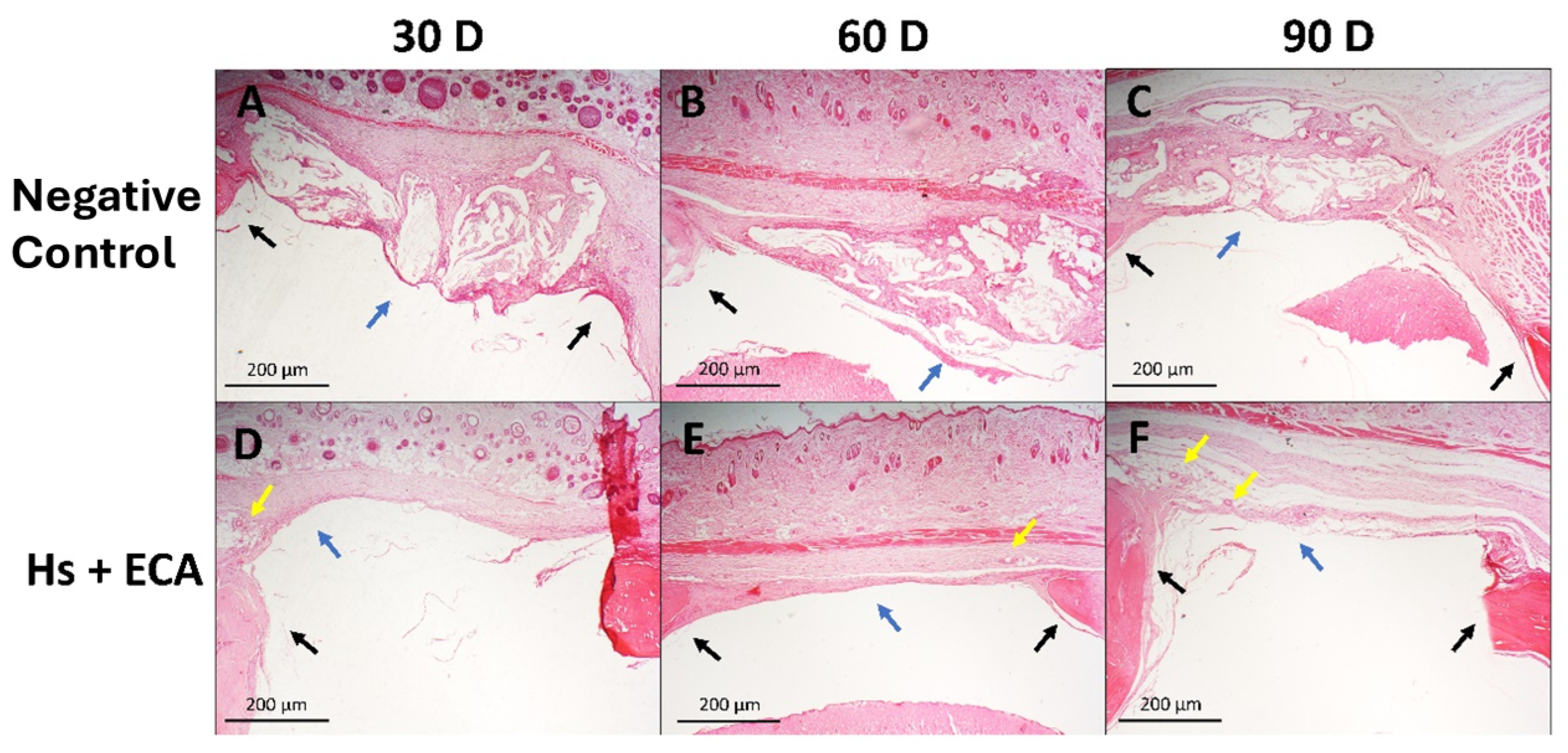Pharmaceuticals 18 01695 g004