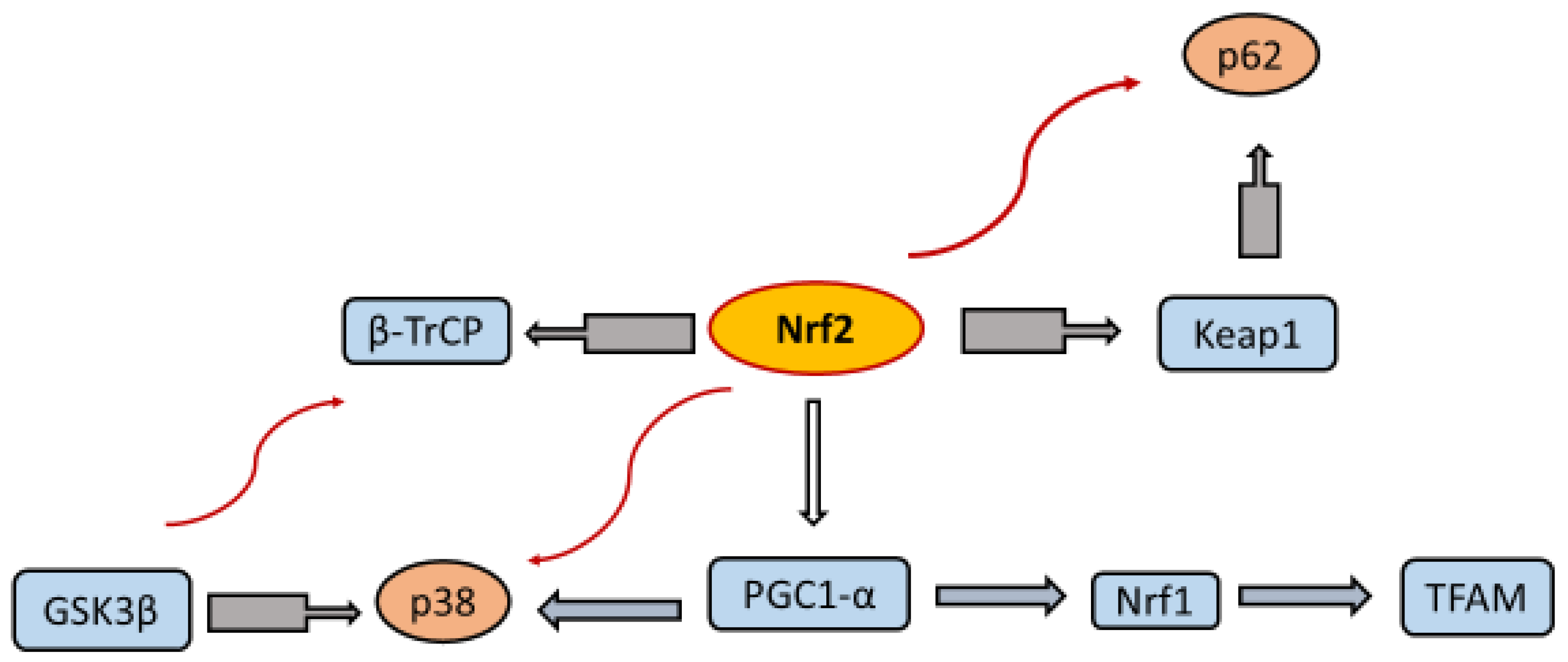 Pharmaceuticals 18 01698 g001 Pharmaceuticals 18 01698 g001