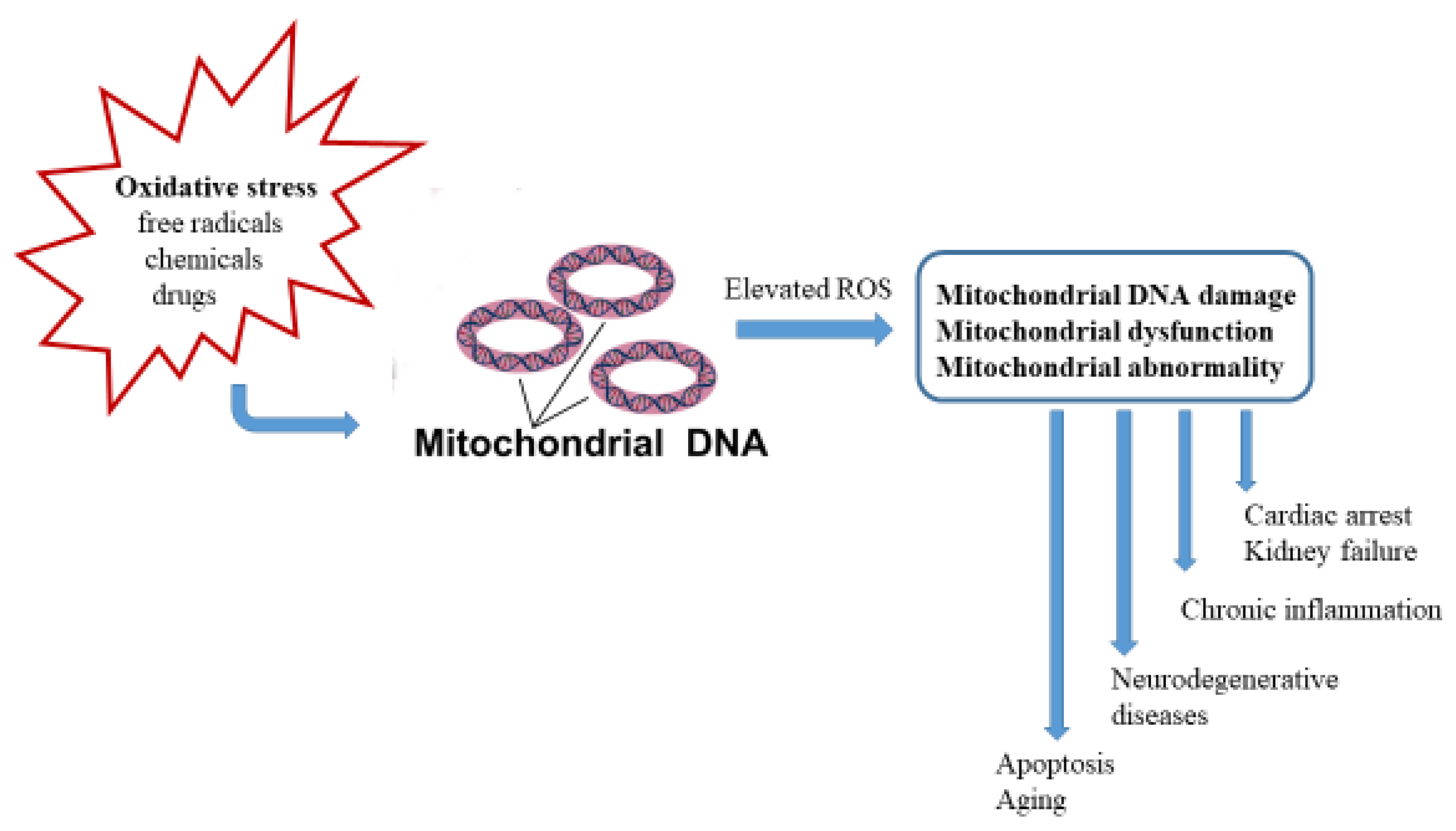 Pharmaceuticals 18 01698 g003 Pharmaceuticals 18 01698 g003