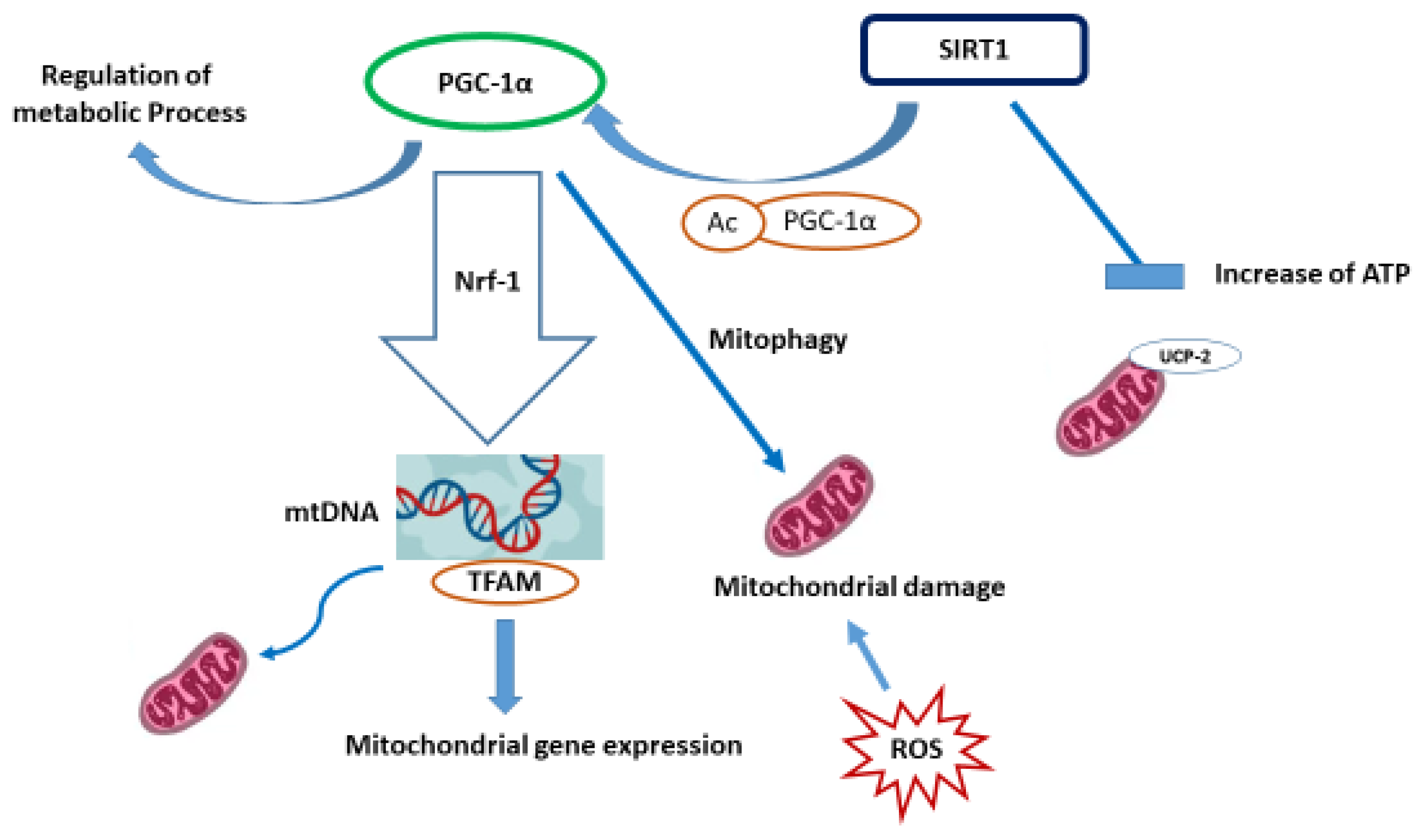 Pharmaceuticals 18 01698 g006 Pharmaceuticals 18 01698 g006