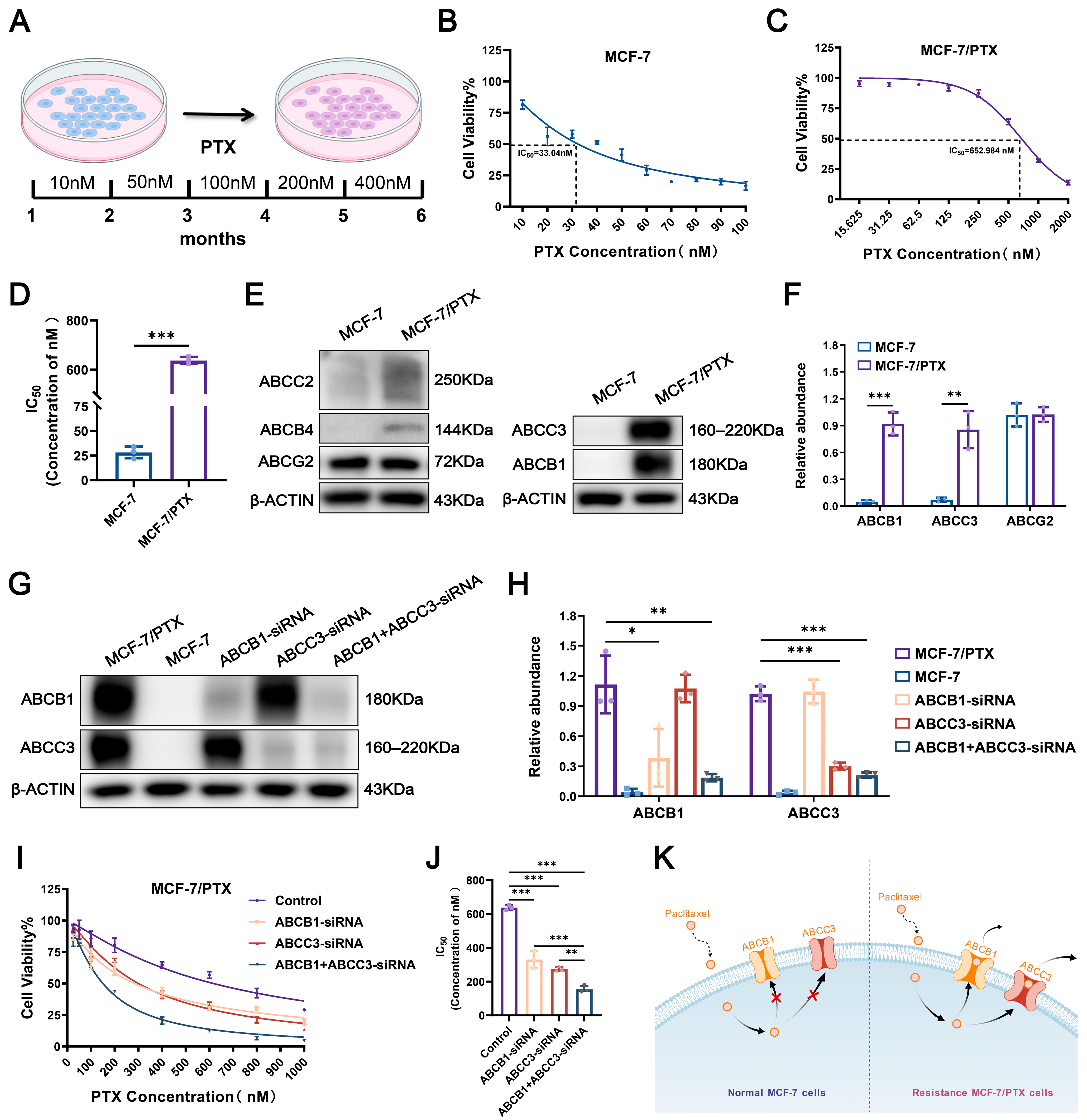 Pharmaceuticals 18 01699 g001