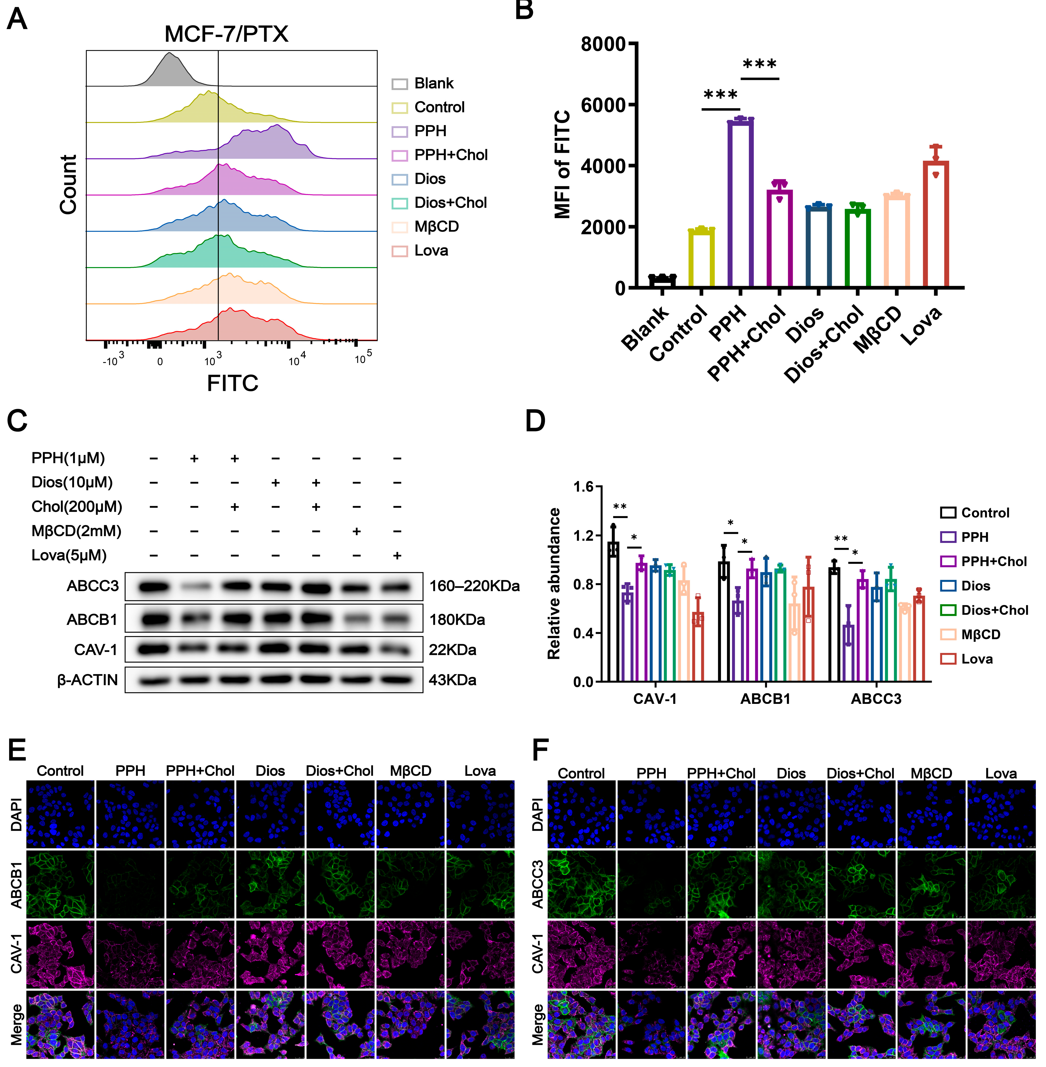 Pharmaceuticals 18 01699 g004