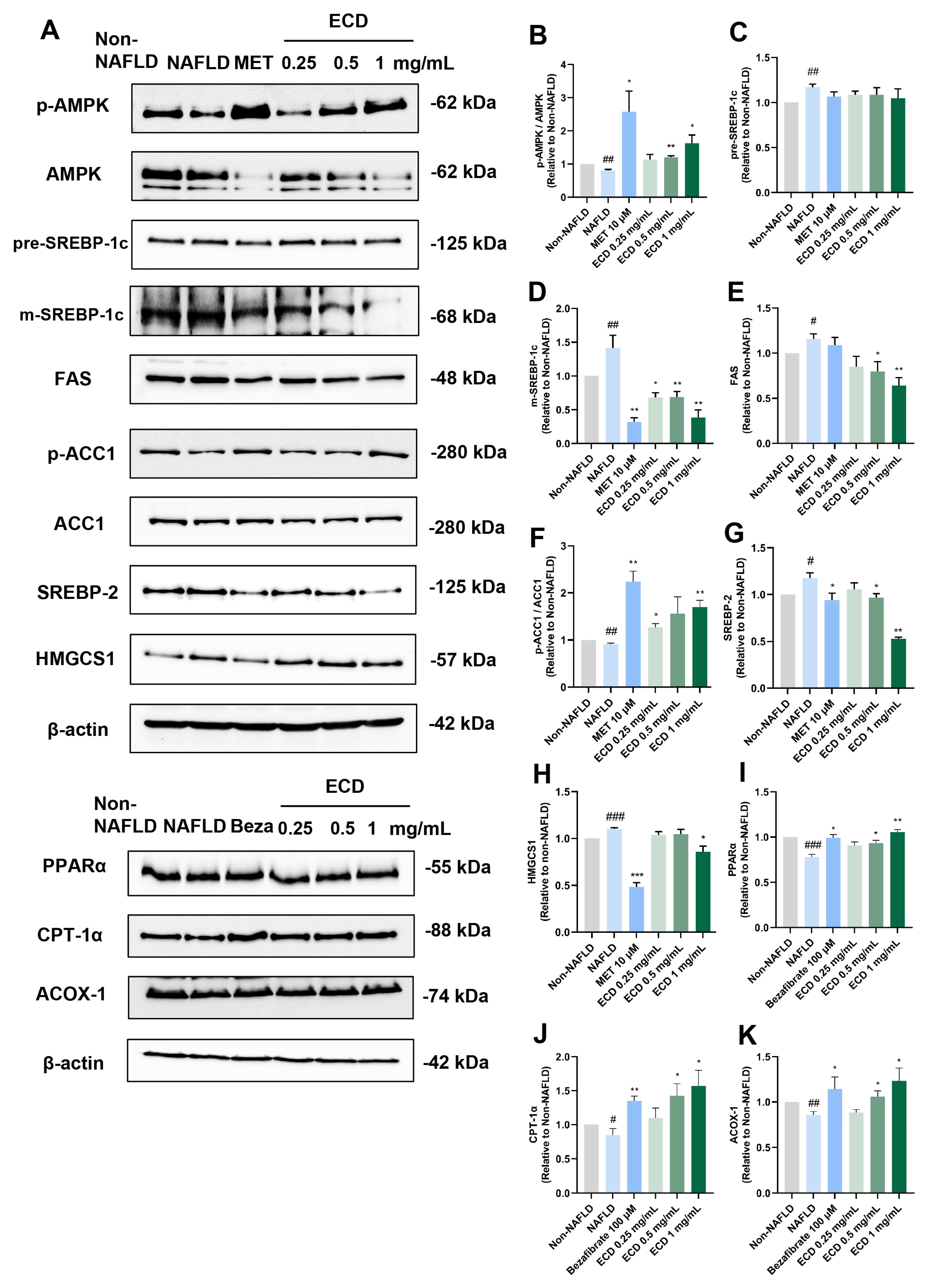 Pharmaceuticals 18 01707 g003