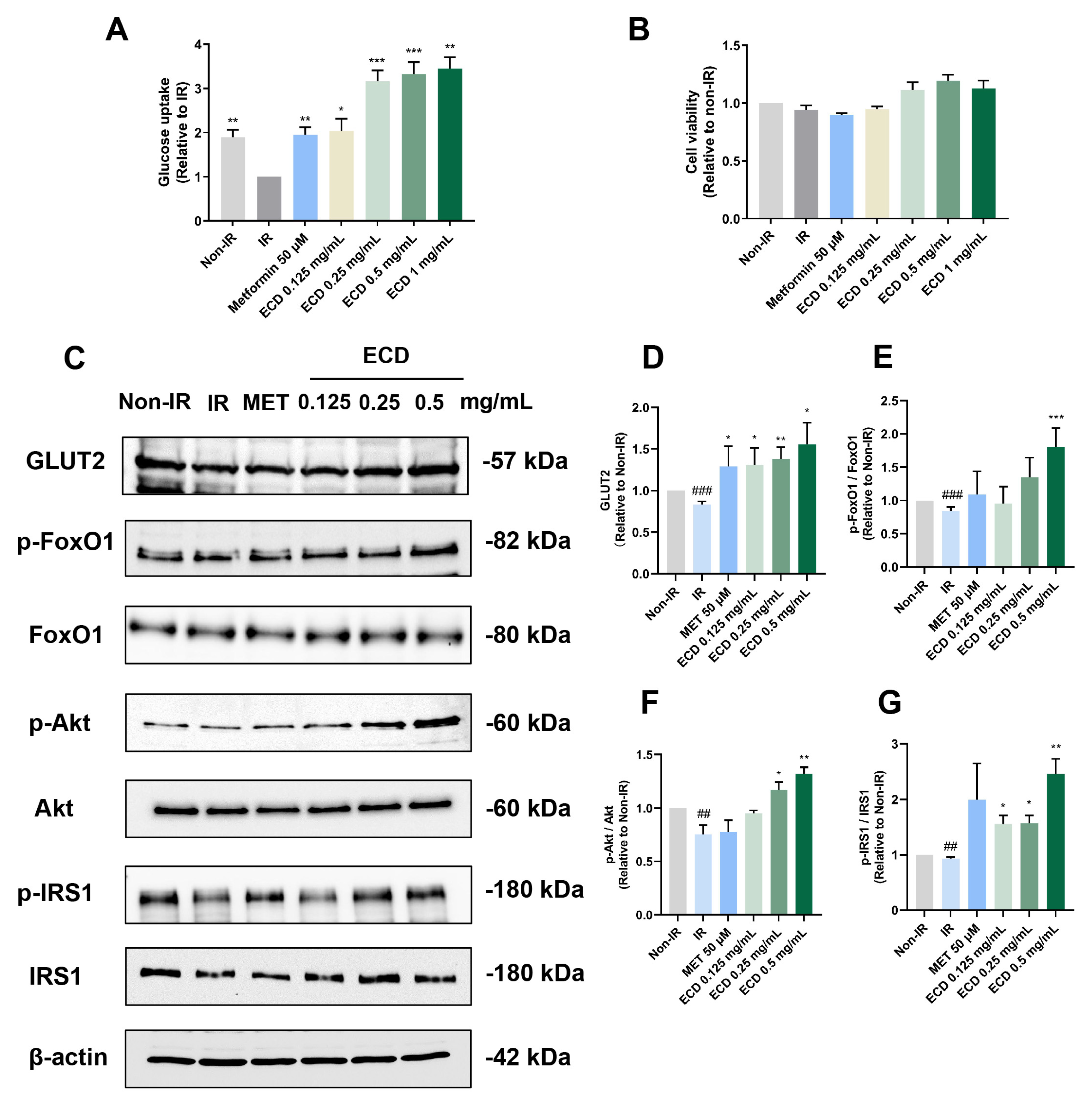 Pharmaceuticals 18 01707 g004