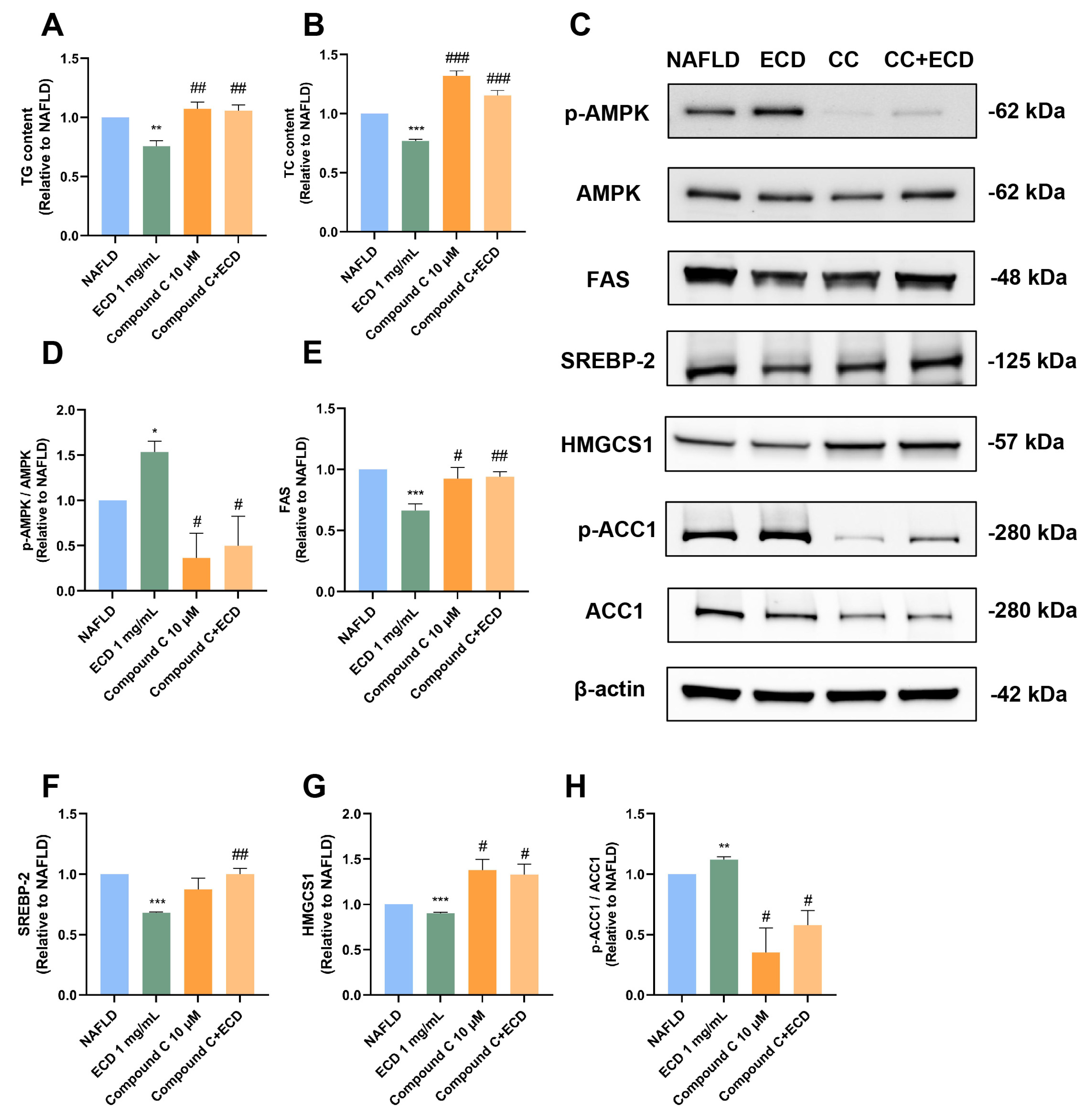 Pharmaceuticals 18 01707 g005