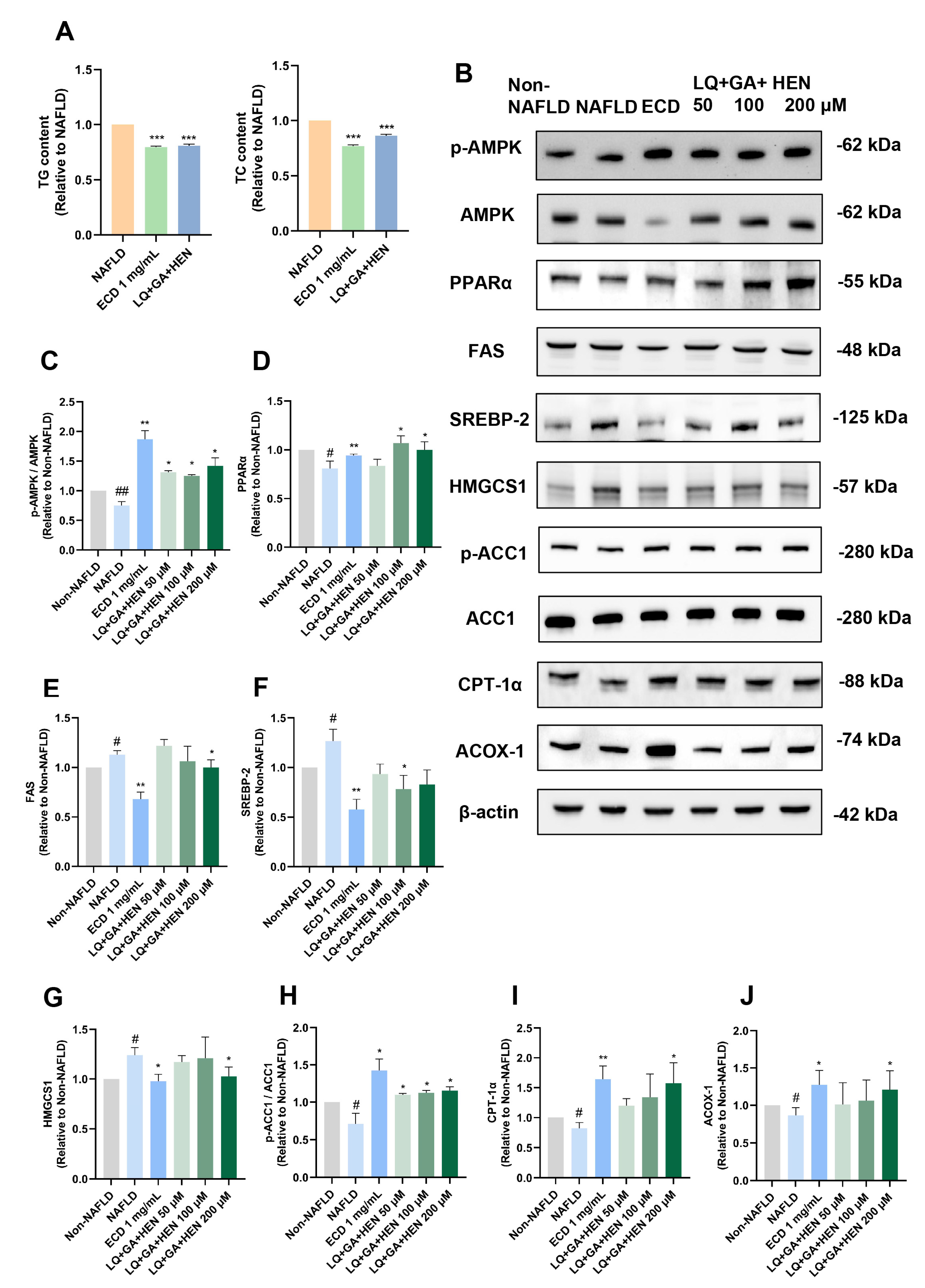 Pharmaceuticals 18 01707 g007