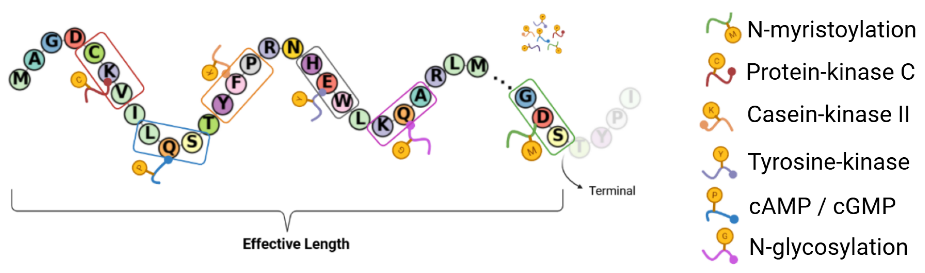 Pharmaceuticals 18 01711 g018 Pharmaceuticals 18 01711 g018
