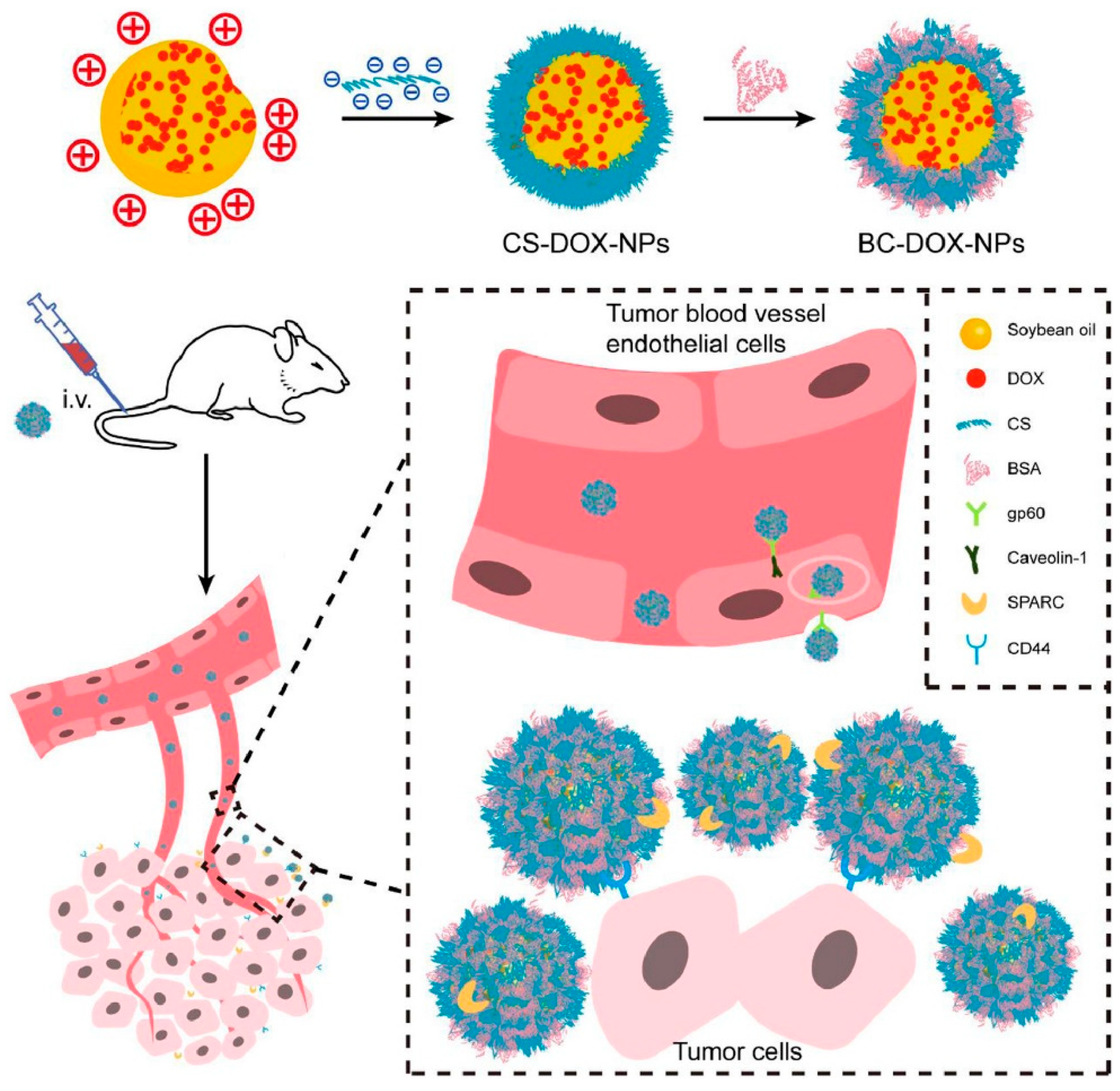 Pharmaceuticals 18 01712 g001