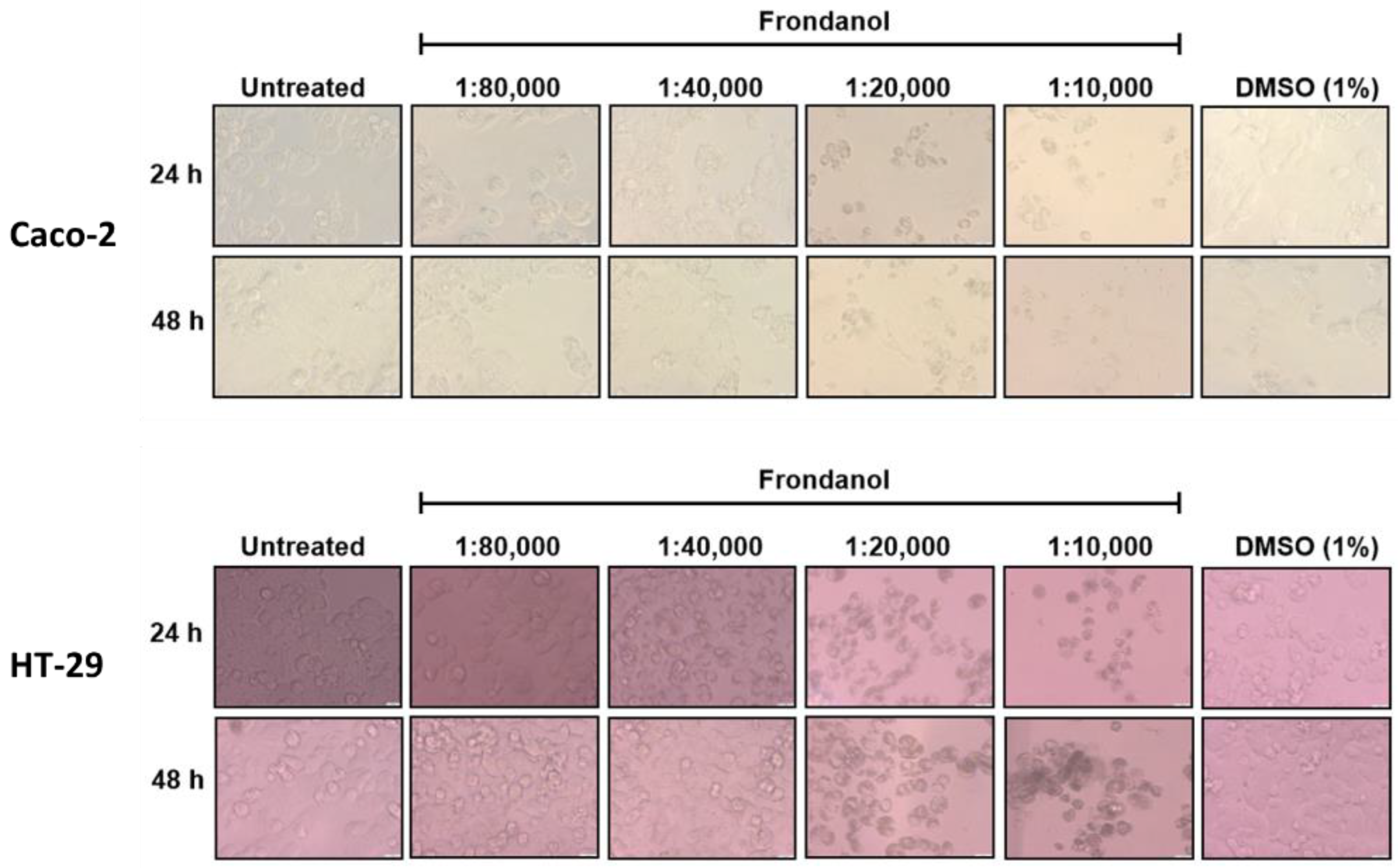 Pharmaceuticals 18 01714 g002