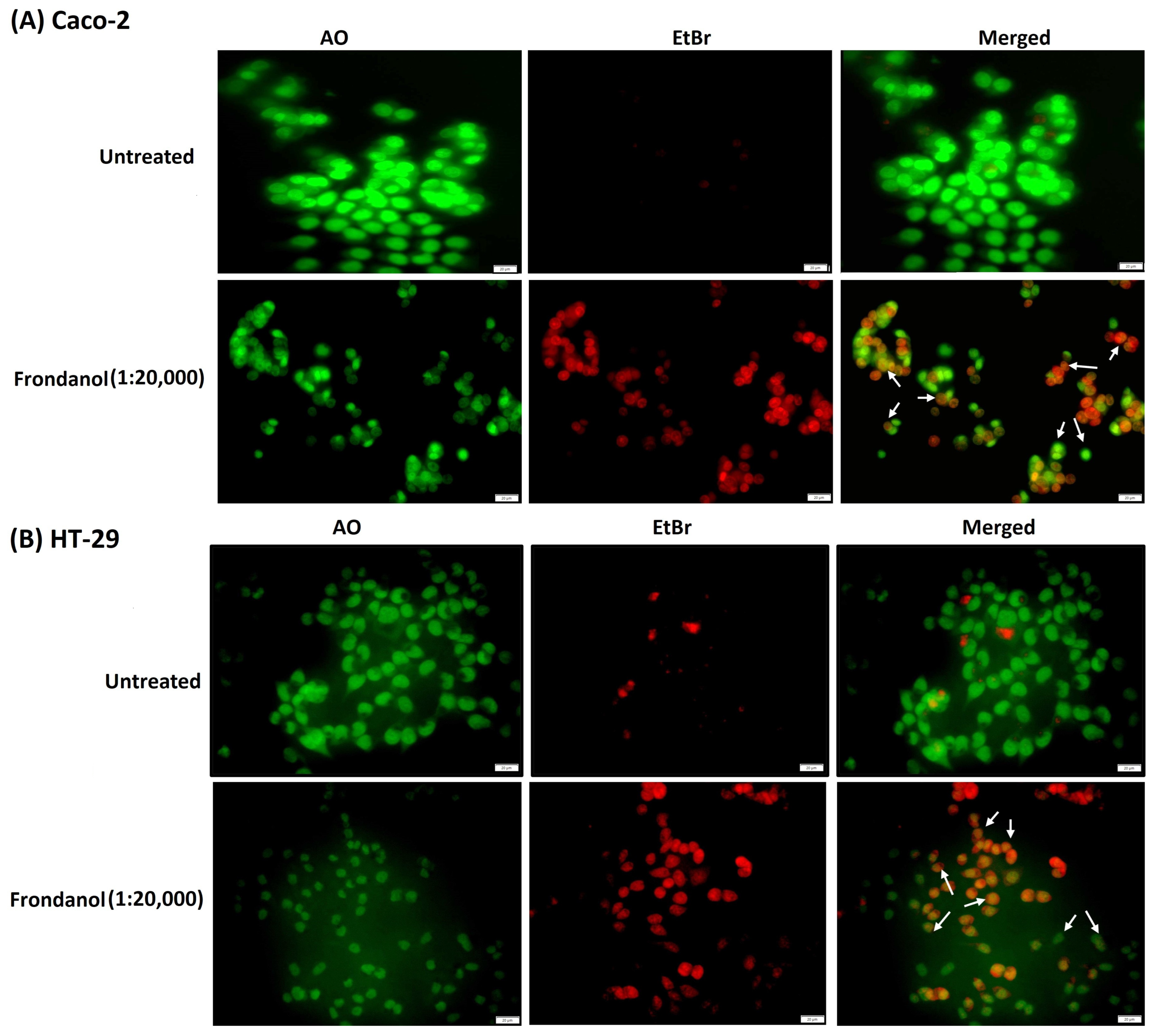 Pharmaceuticals 18 01714 g004