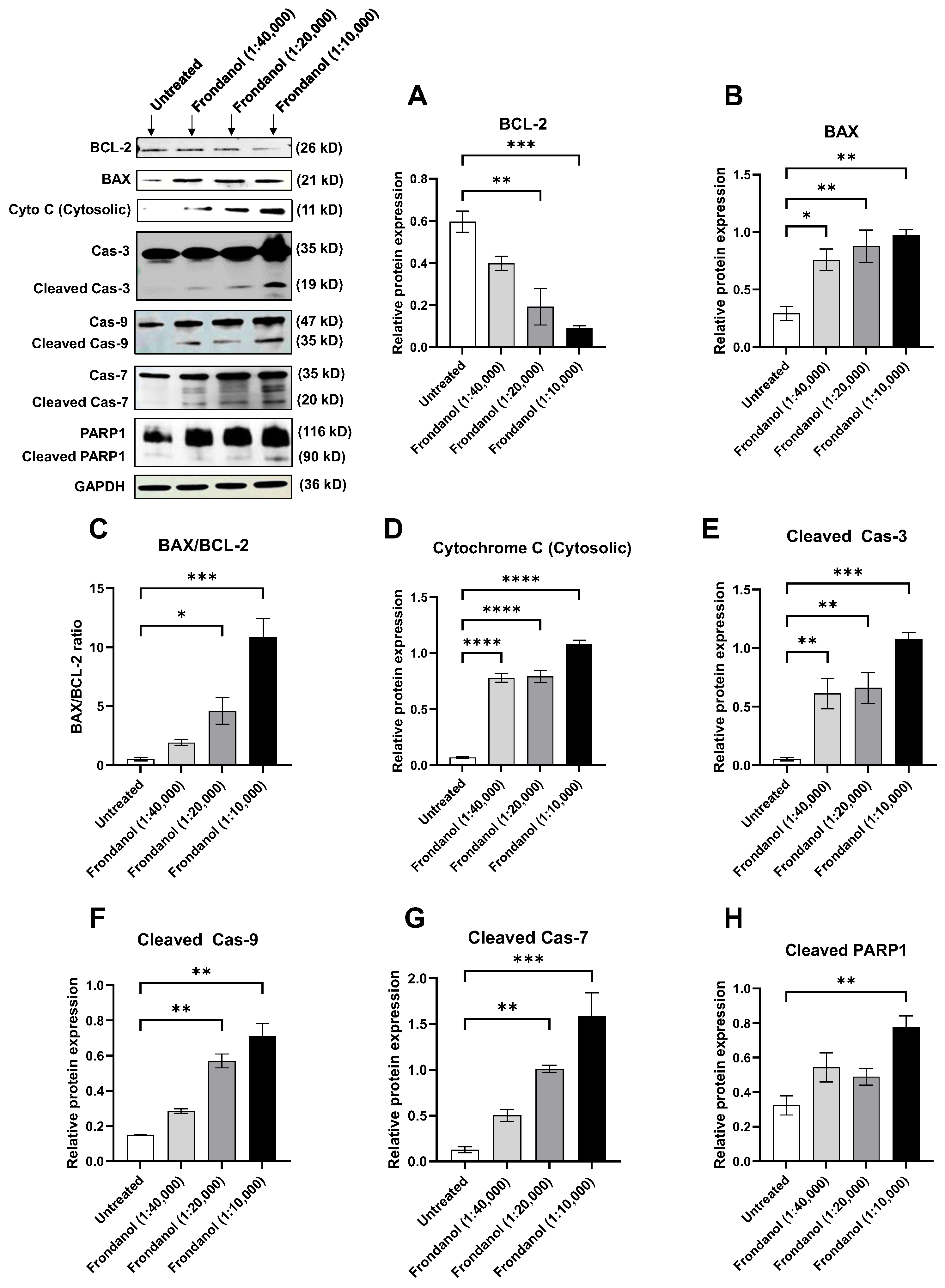 Pharmaceuticals 18 01714 g009