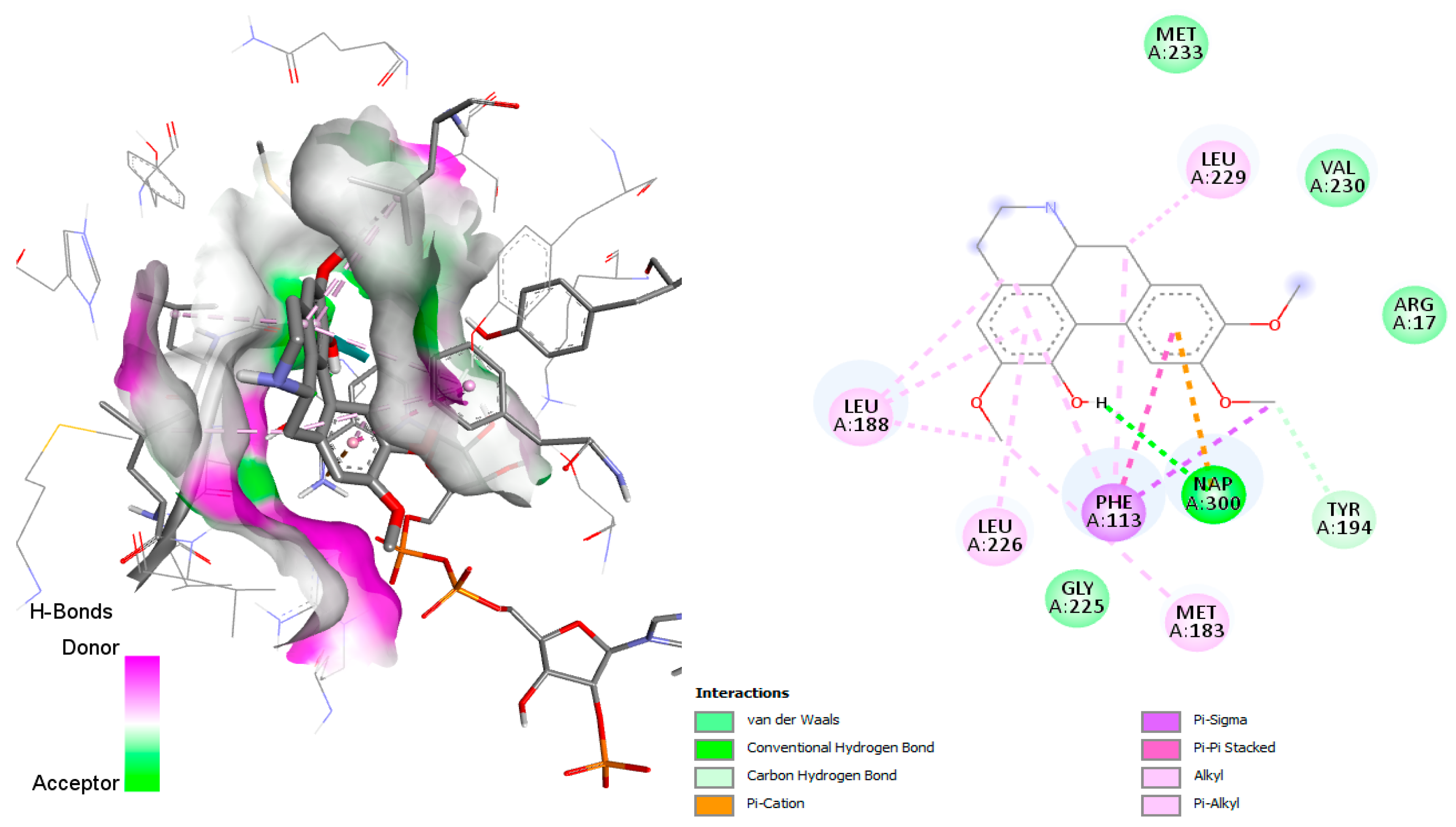 Pharmaceuticals 18 01715 g010
