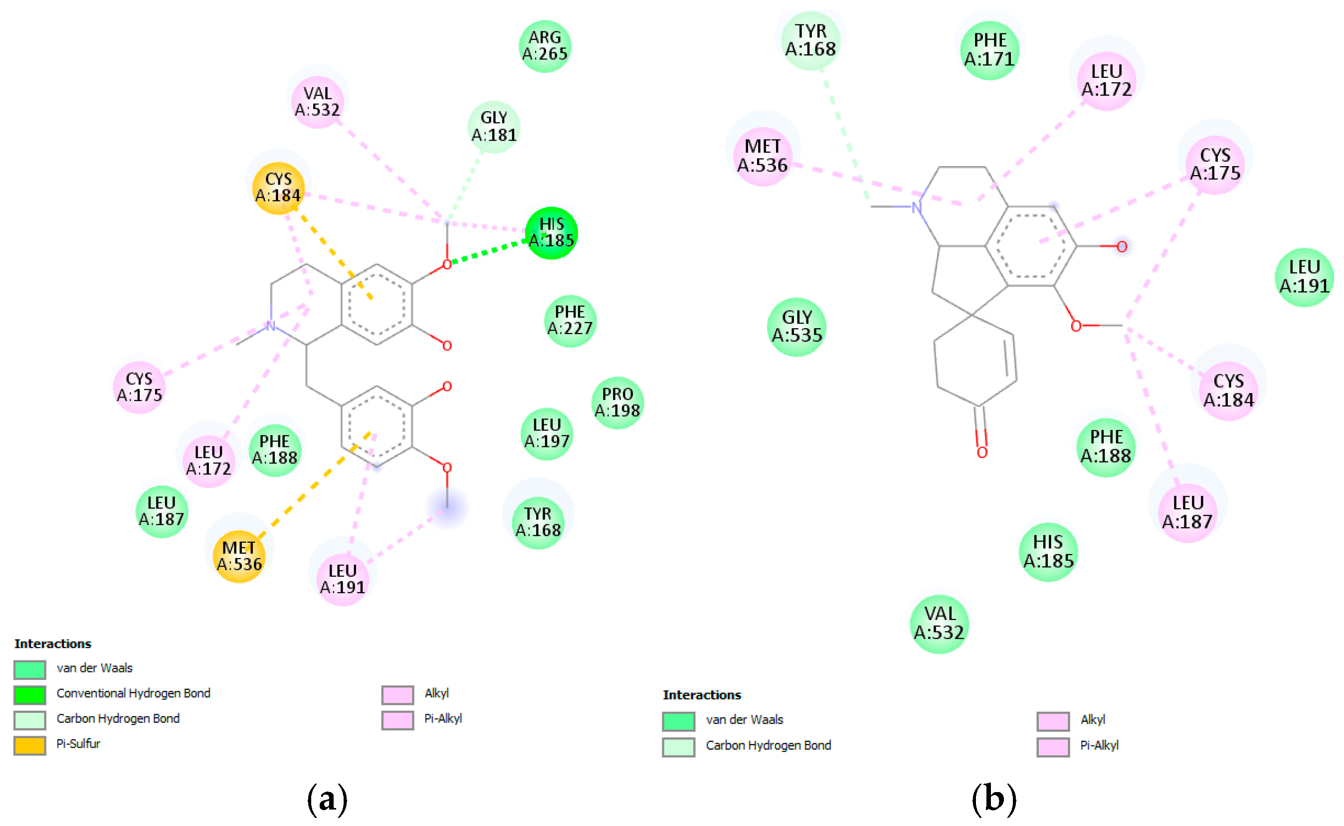 Pharmaceuticals 18 01715 g012
