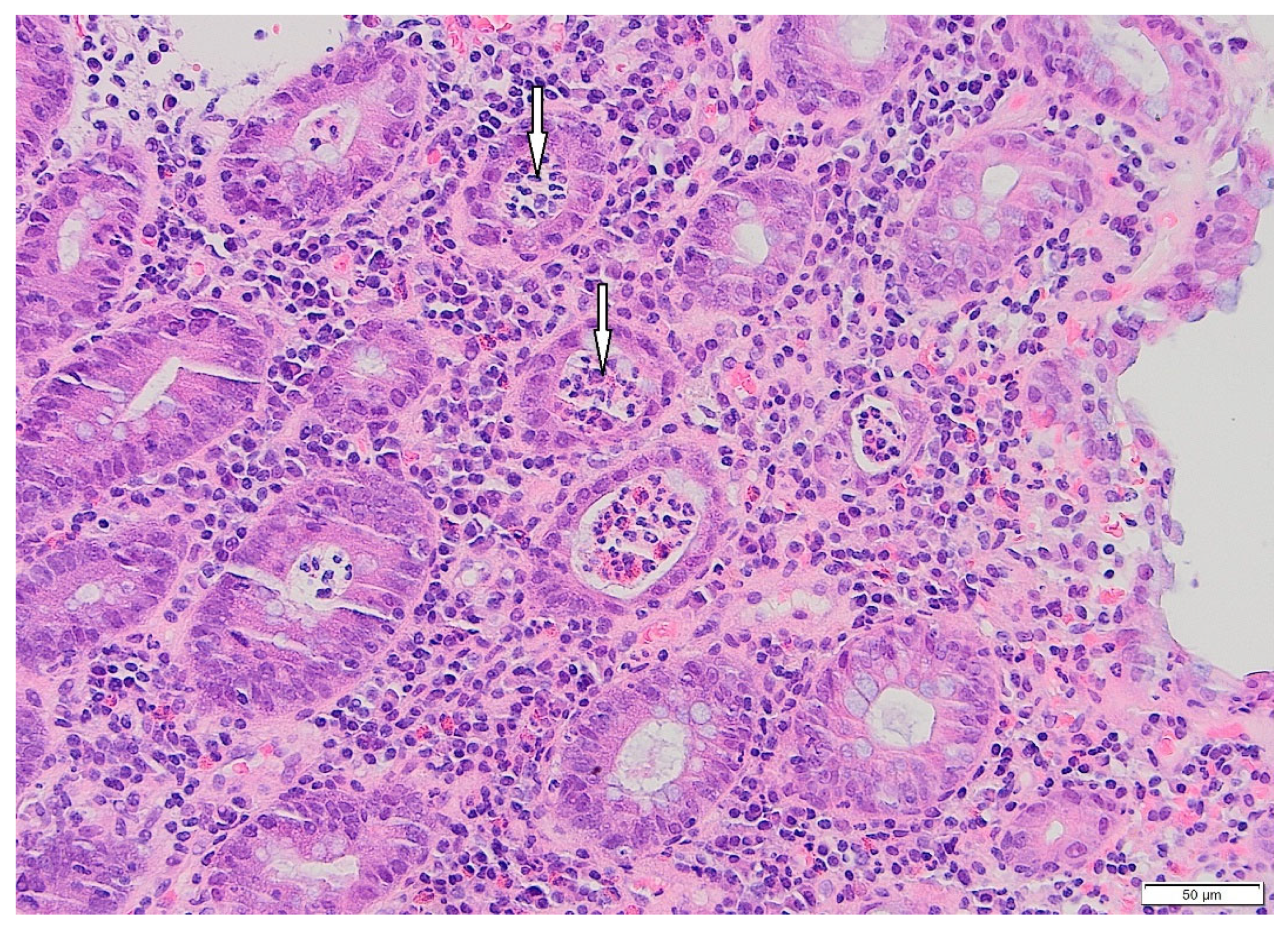 Pharmaceuticals 18 01719 g001