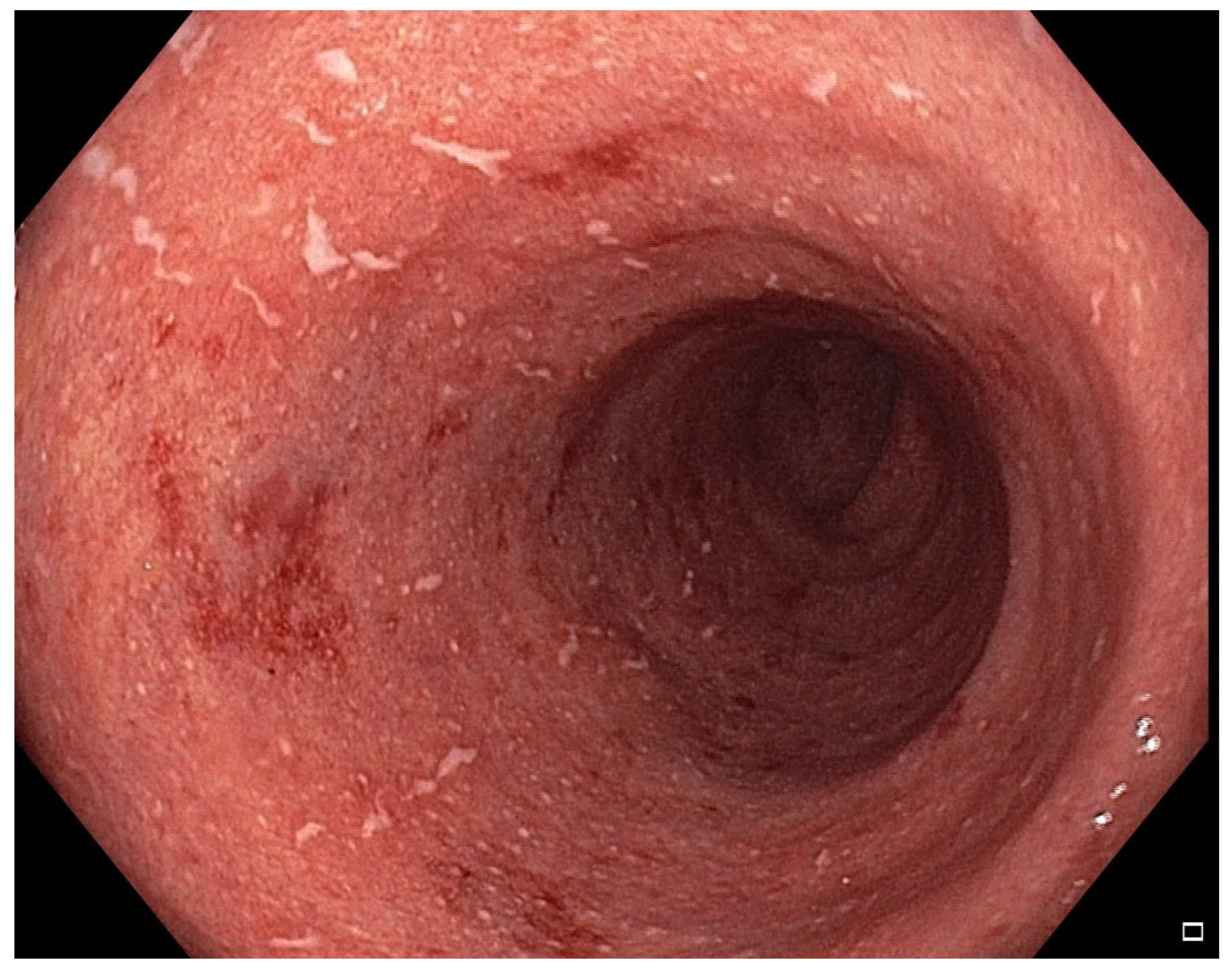 Pharmaceuticals 18 01719 g002