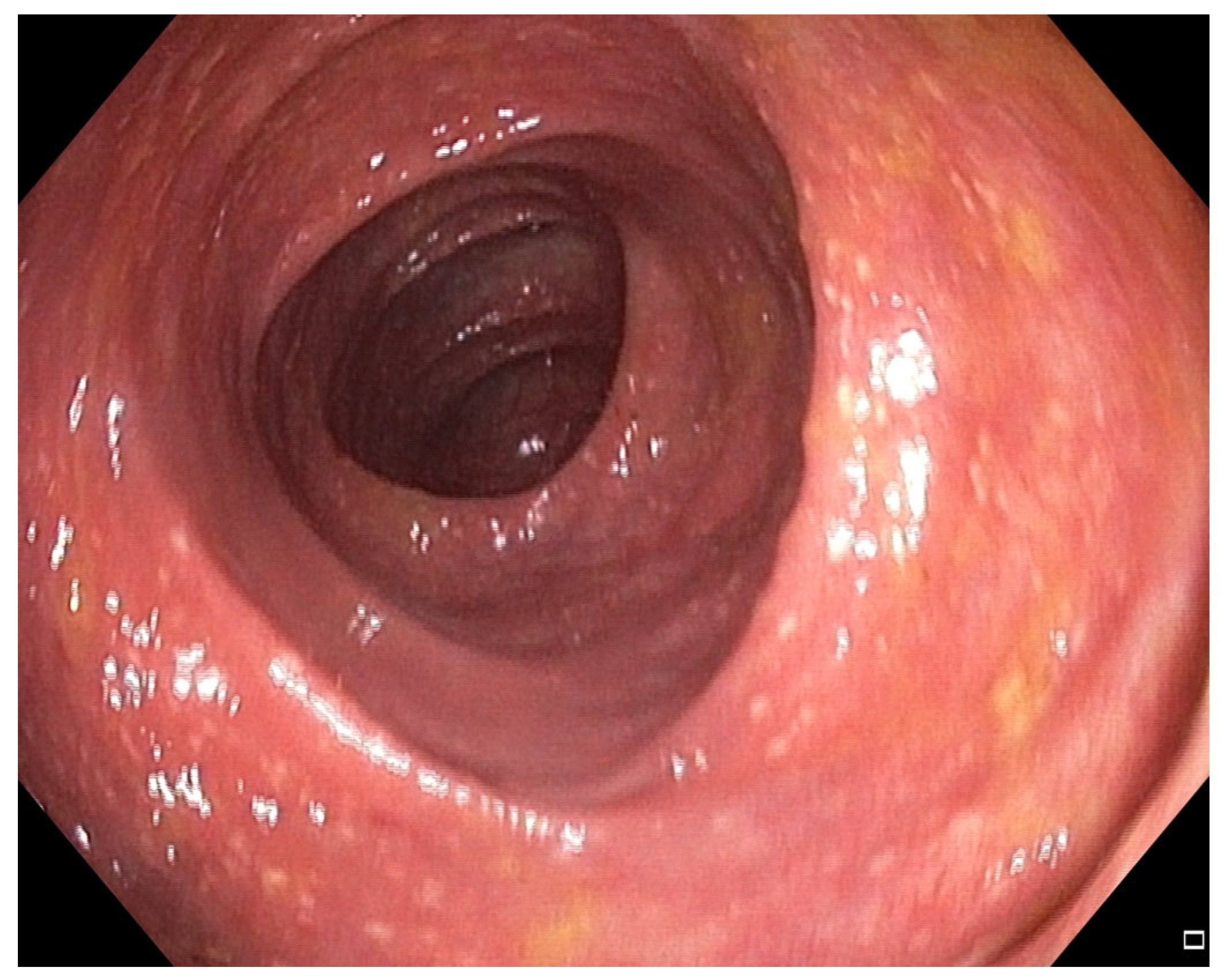 Pharmaceuticals 18 01719 g003