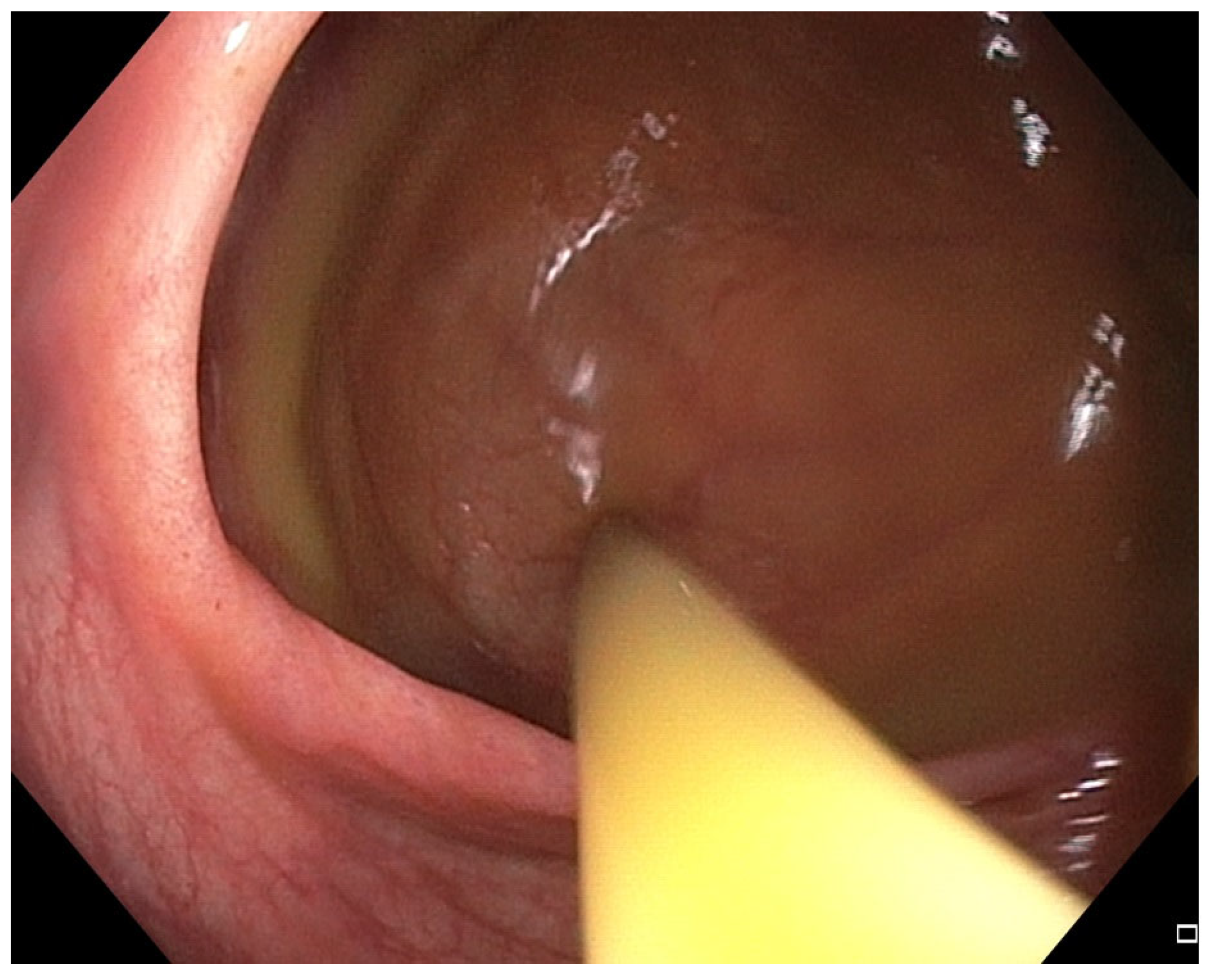 Pharmaceuticals 18 01719 g004