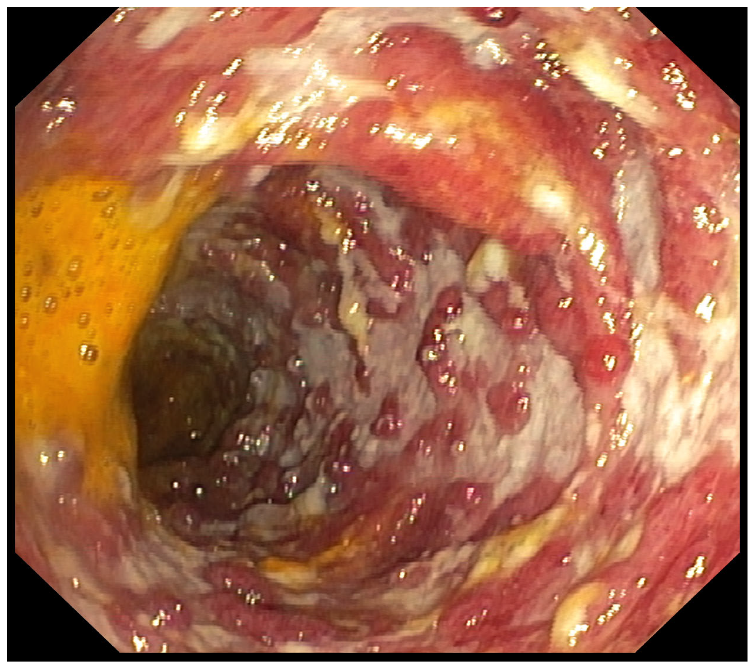 Pharmaceuticals 18 01719 g006