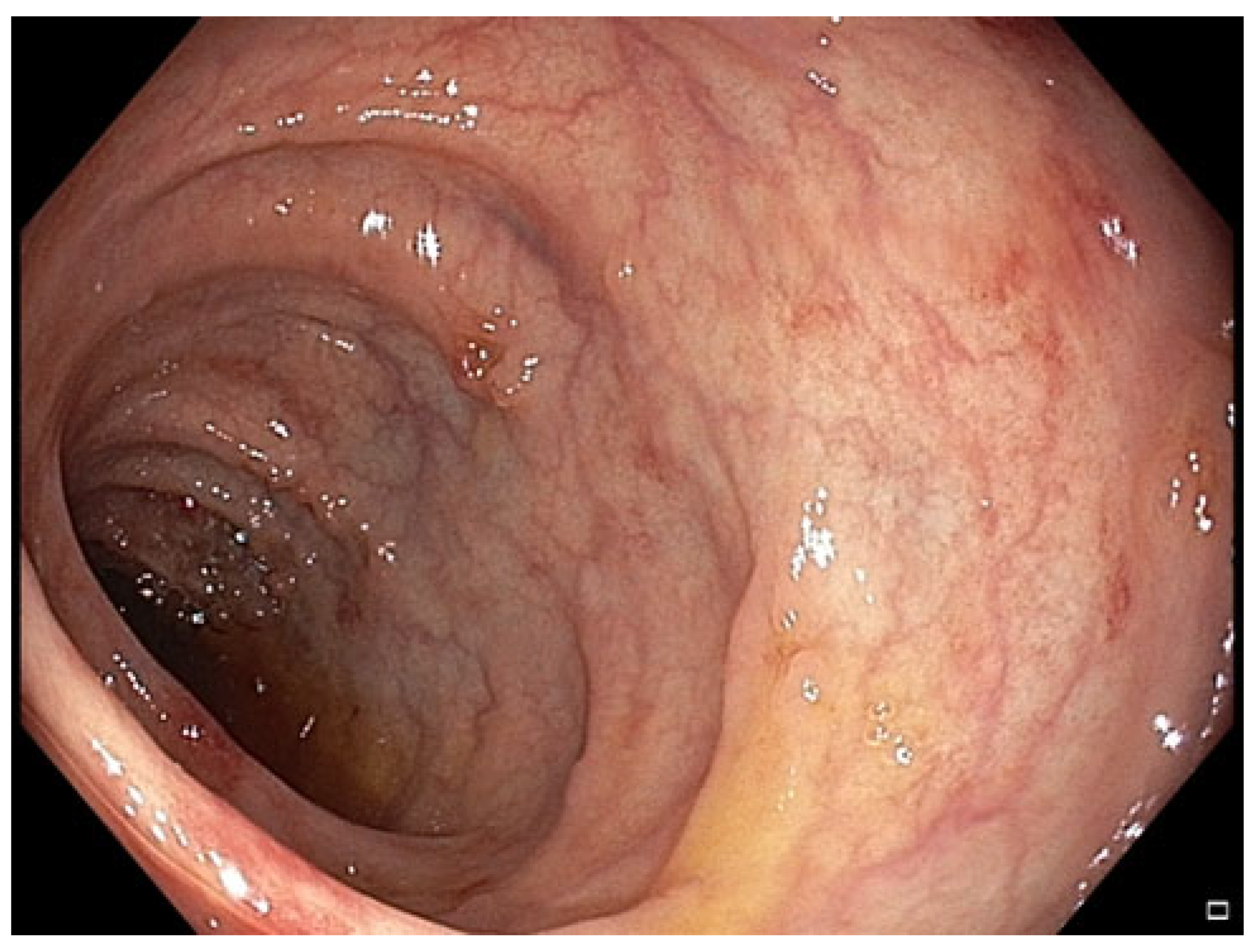 Pharmaceuticals 18 01719 g007