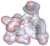 Pharmaceuticals 18 01720 i002