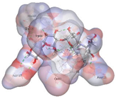 Pharmaceuticals 18 01720 i008