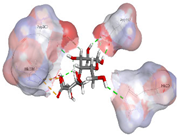 Pharmaceuticals 18 01720 i010