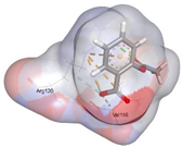 Pharmaceuticals 18 01720 i014