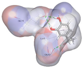 Pharmaceuticals 18 01720 i018