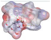 Pharmaceuticals 18 01720 i026