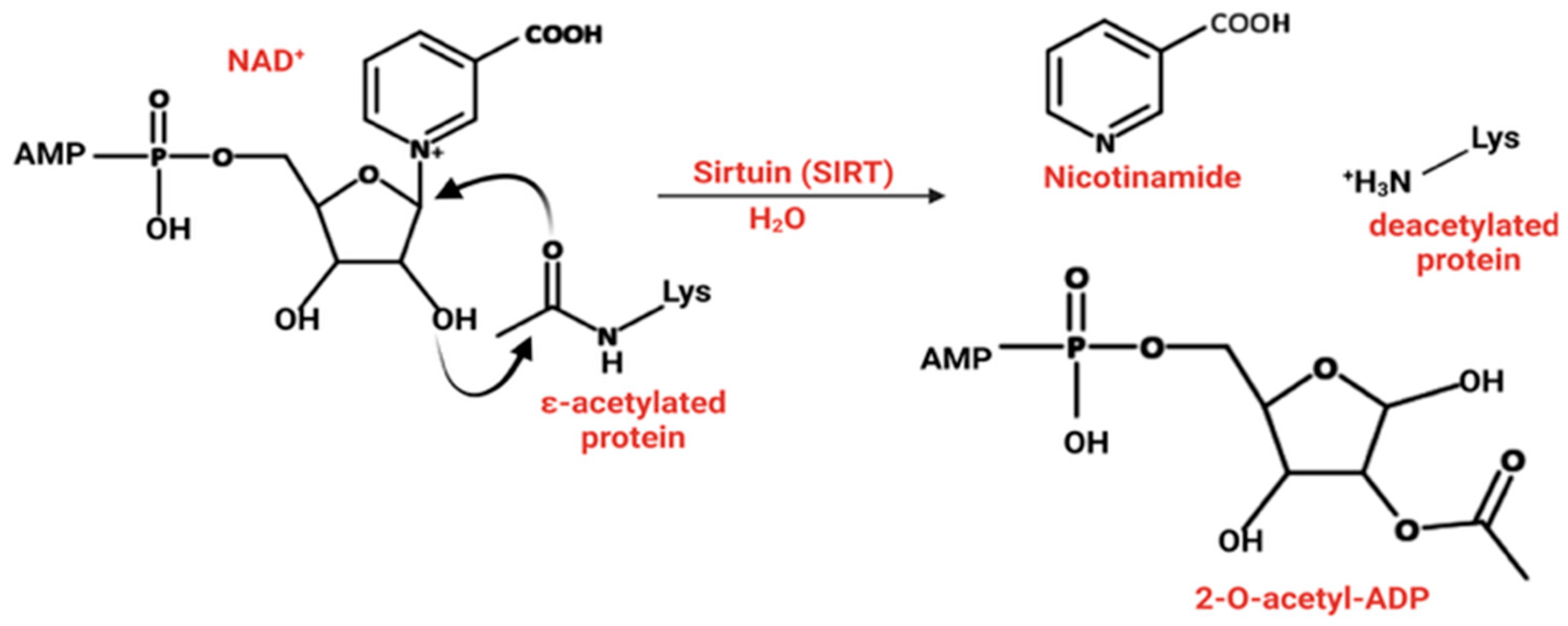 Pharmaceuticals 18 01723 g002 Pharmaceuticals 18 01723 g002