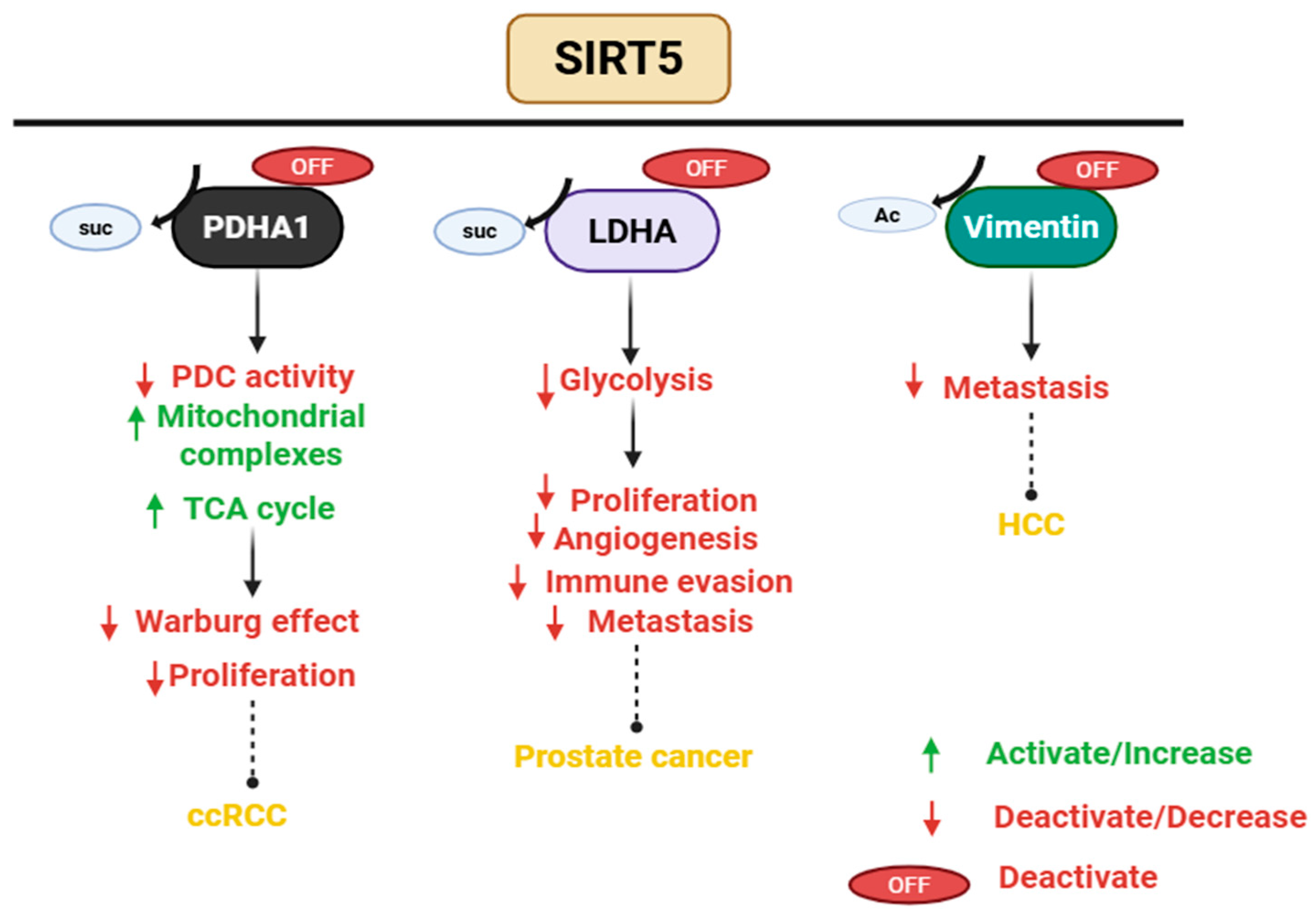 Pharmaceuticals 18 01723 g004 Pharmaceuticals 18 01723 g004