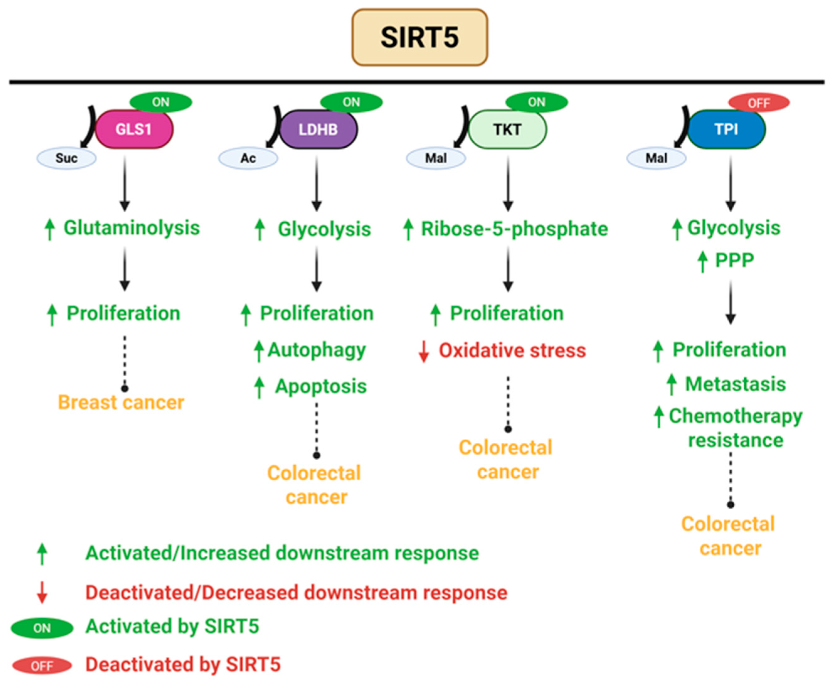 Pharmaceuticals 18 01723 g005 Pharmaceuticals 18 01723 g005