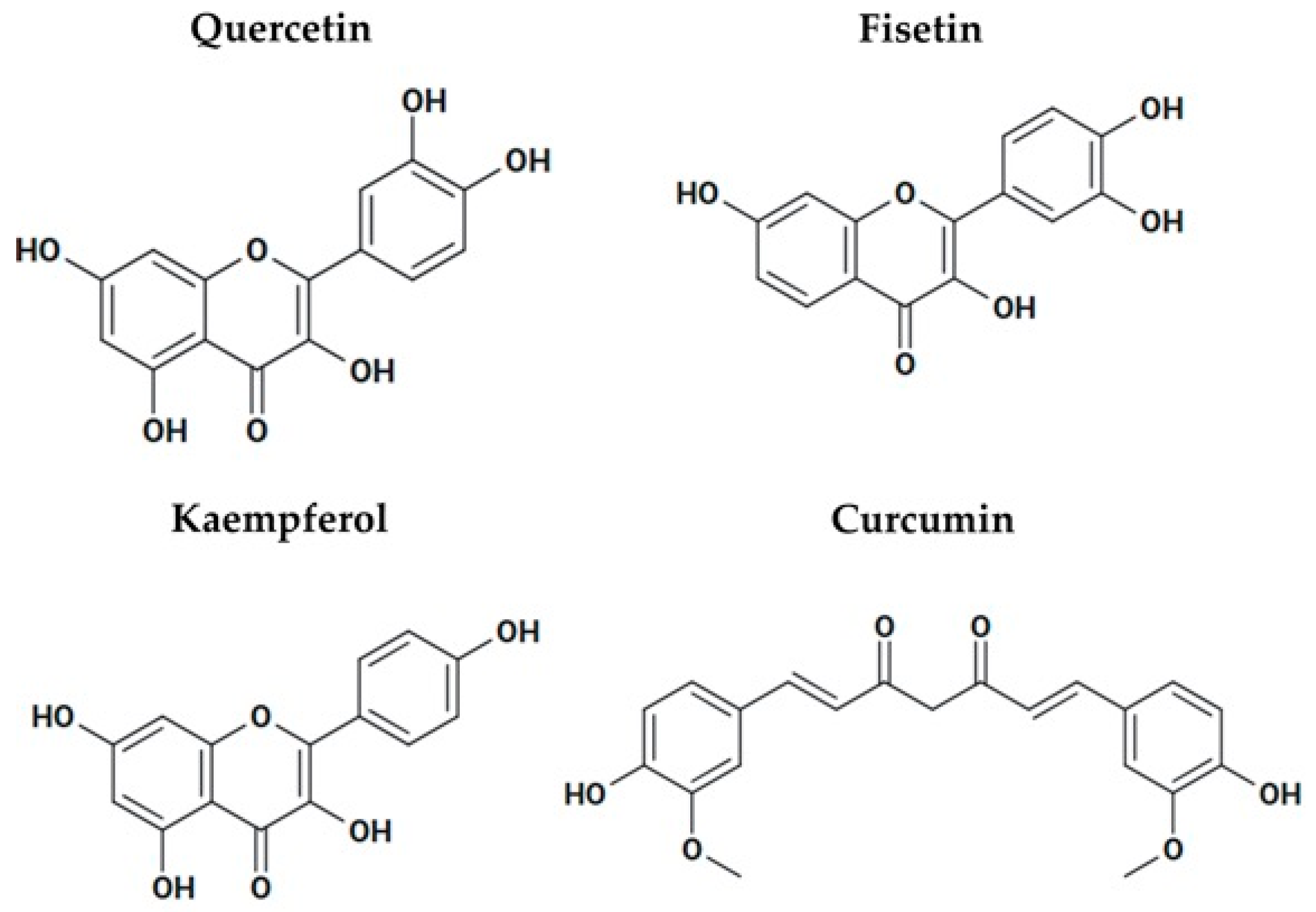 Pharmaceuticals 18 01723 g008 Pharmaceuticals 18 01723 g008