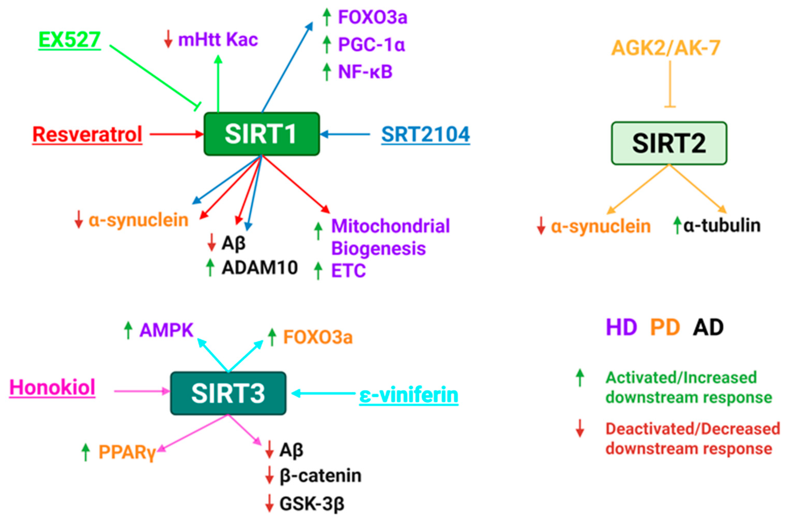 Pharmaceuticals 18 01723 g009 Pharmaceuticals 18 01723 g009