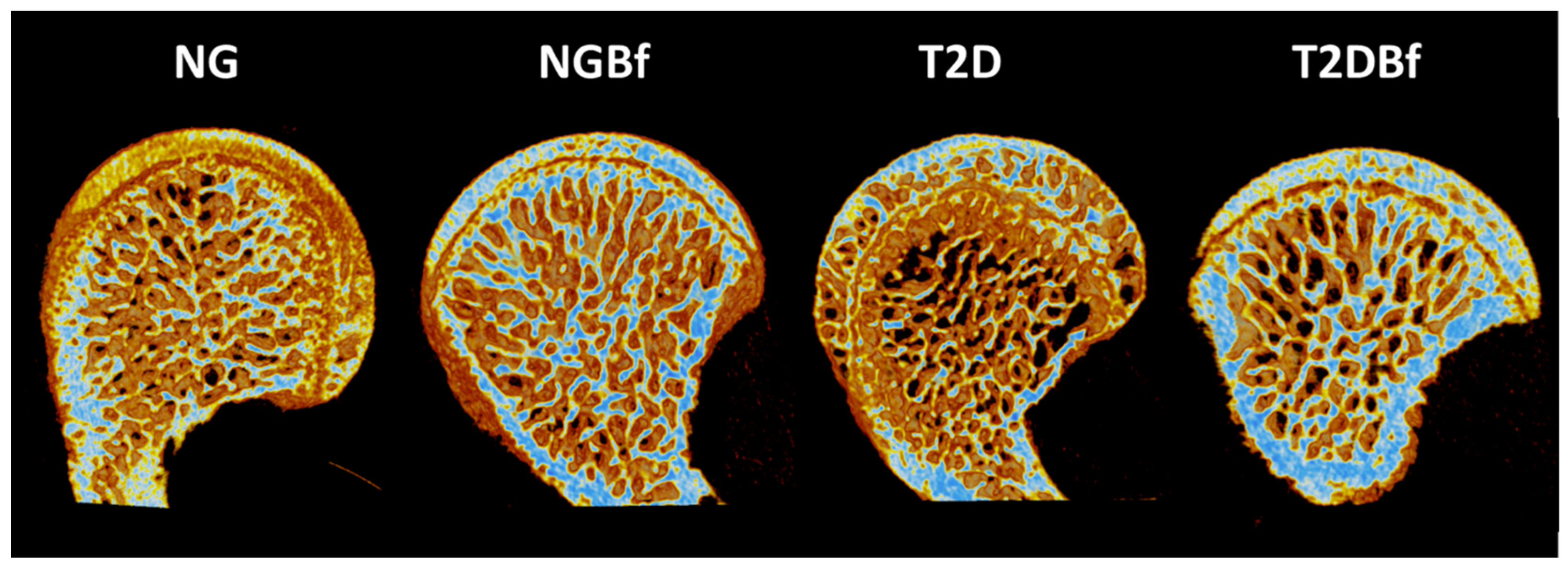Pharmaceuticals 18 01724 g005