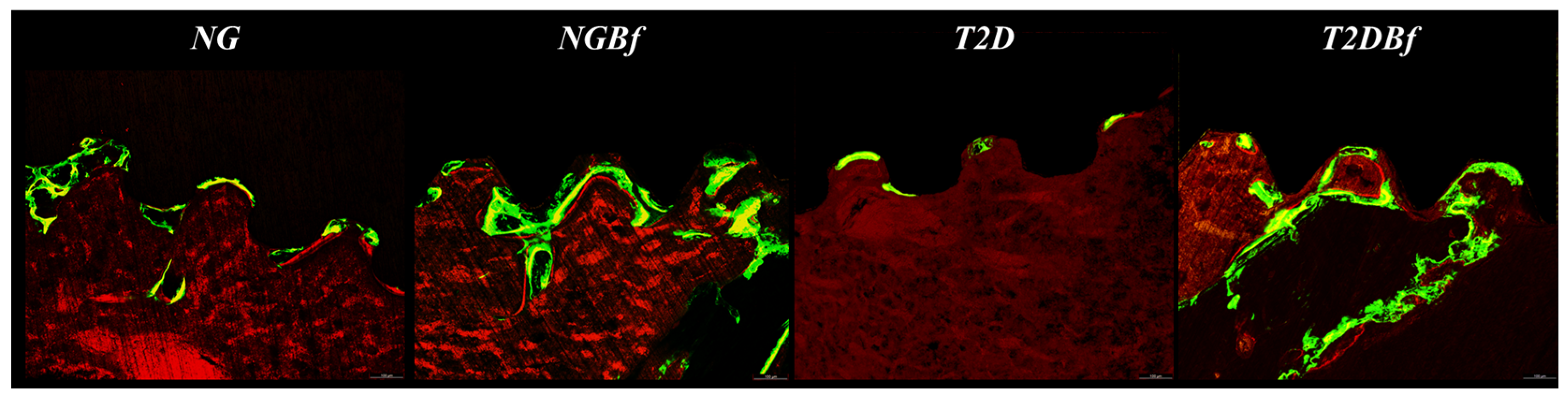 Pharmaceuticals 18 01724 g009