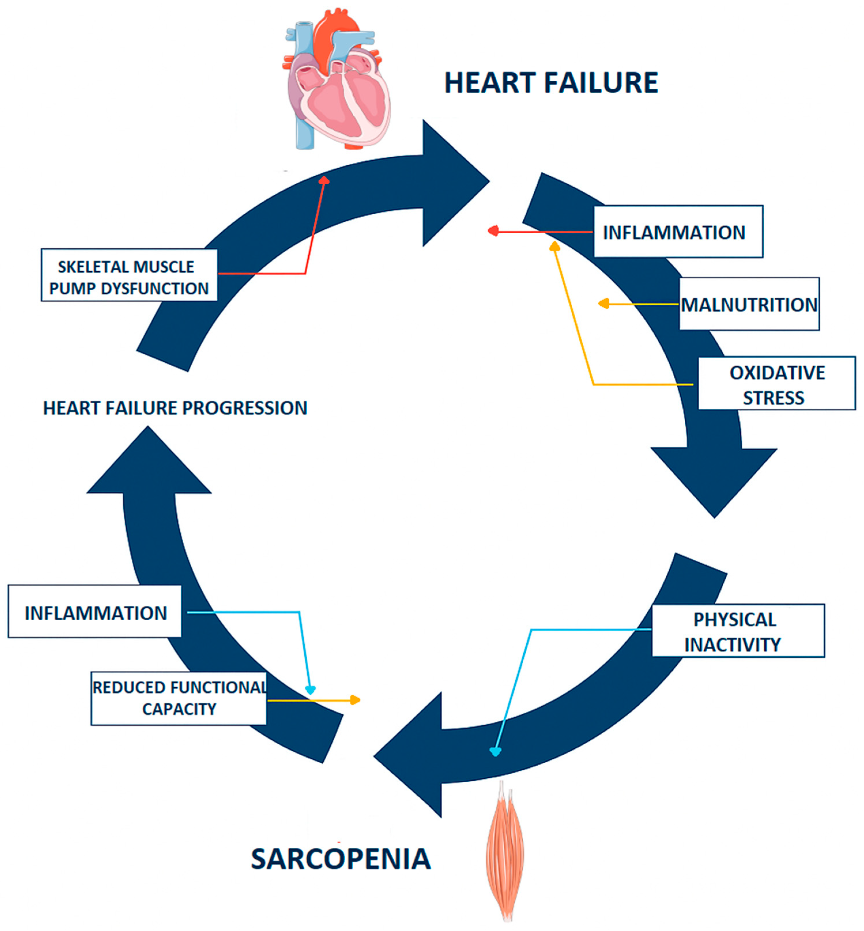 Pharmaceuticals 18 01726 g002 Pharmaceuticals 18 01726 g002