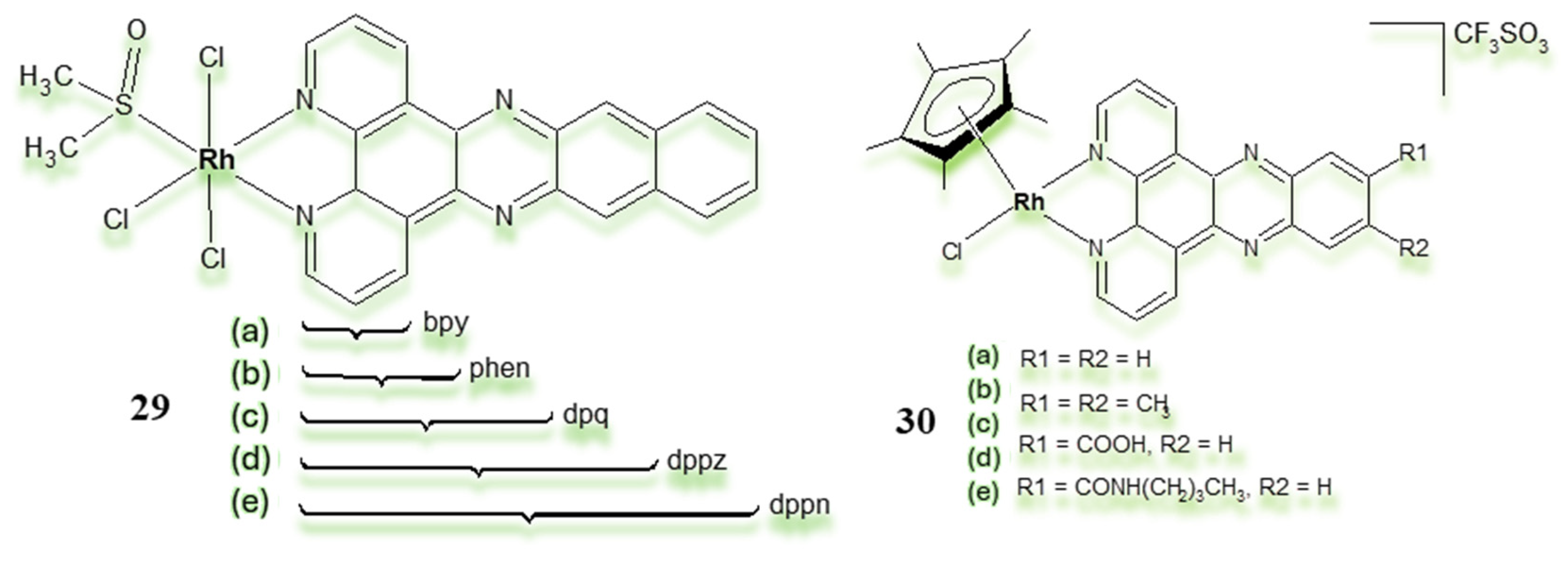 Pharmaceuticals 18 01728 g016