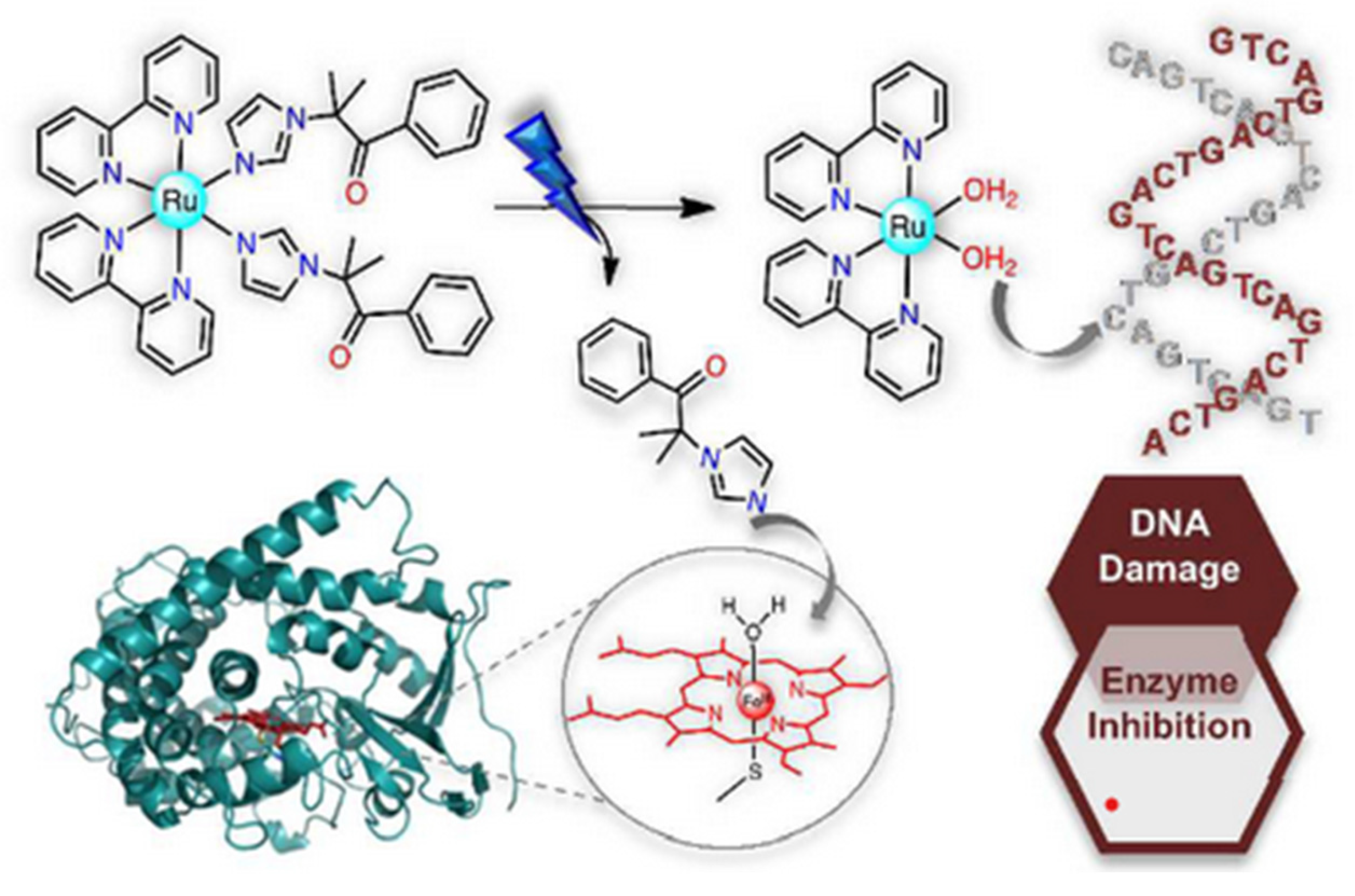 Pharmaceuticals 18 01728 sch002