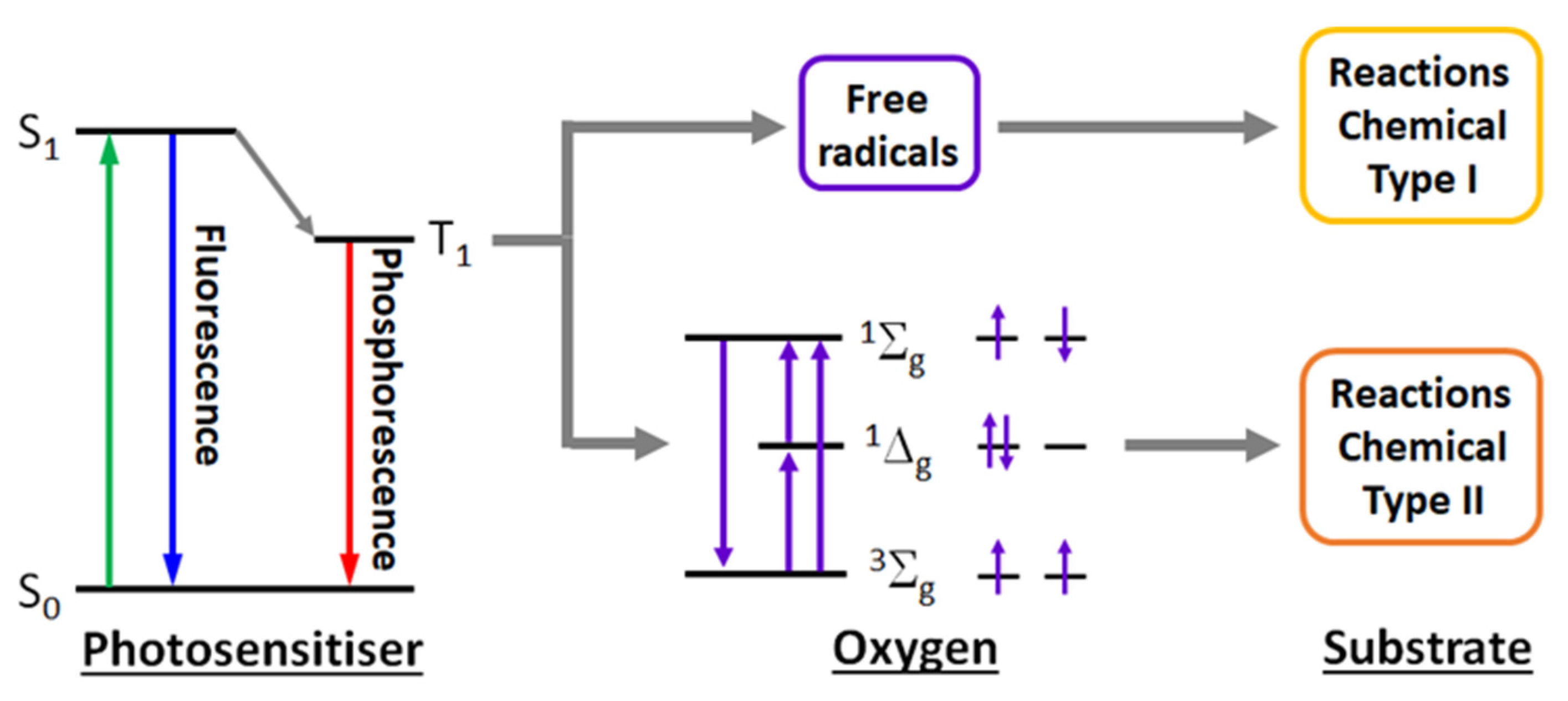 Pharmaceuticals 18 01728 sch004