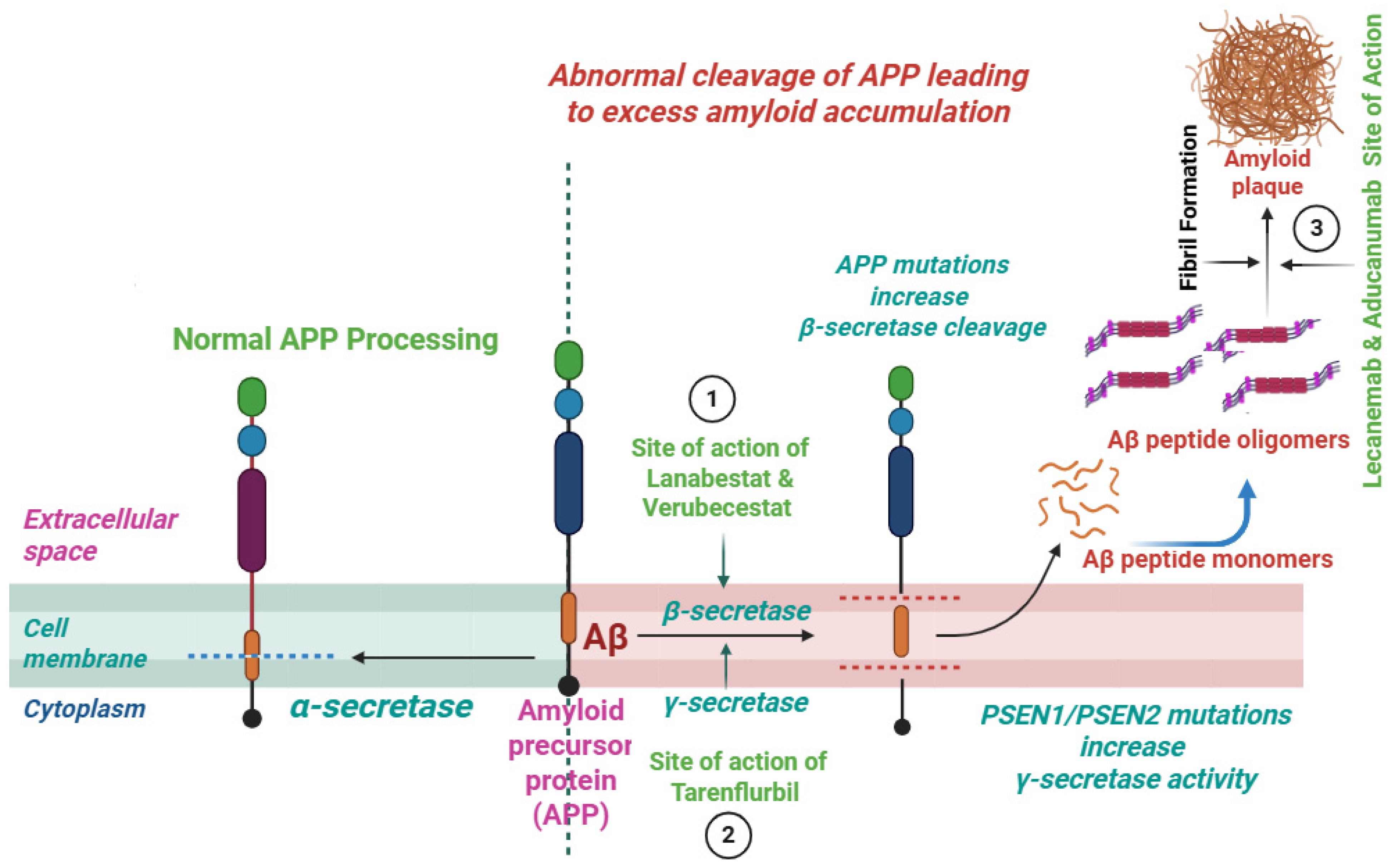Pharmaceuticals 18 01731 g002 Pharmaceuticals 18 01731 g002