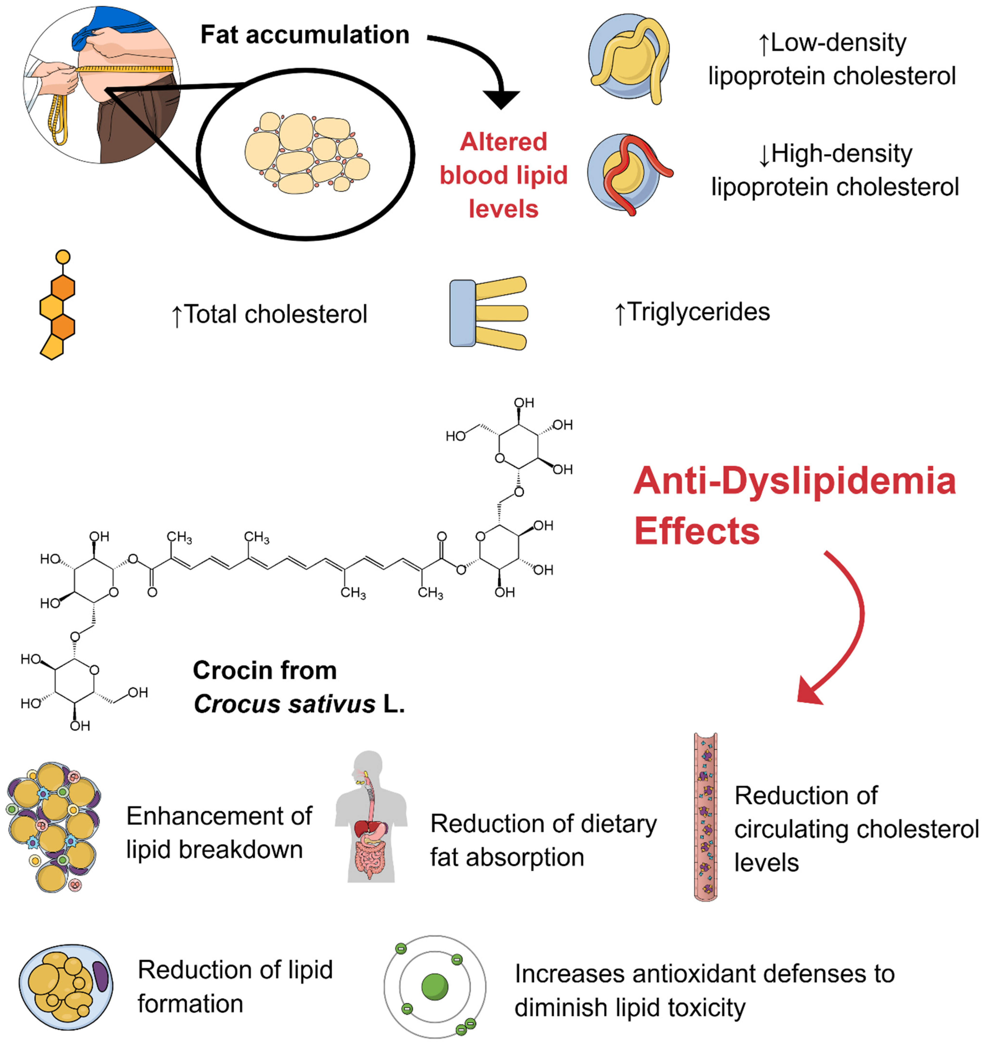 Pharmaceuticals 18 01735 g002 Pharmaceuticals 18 01735 g002